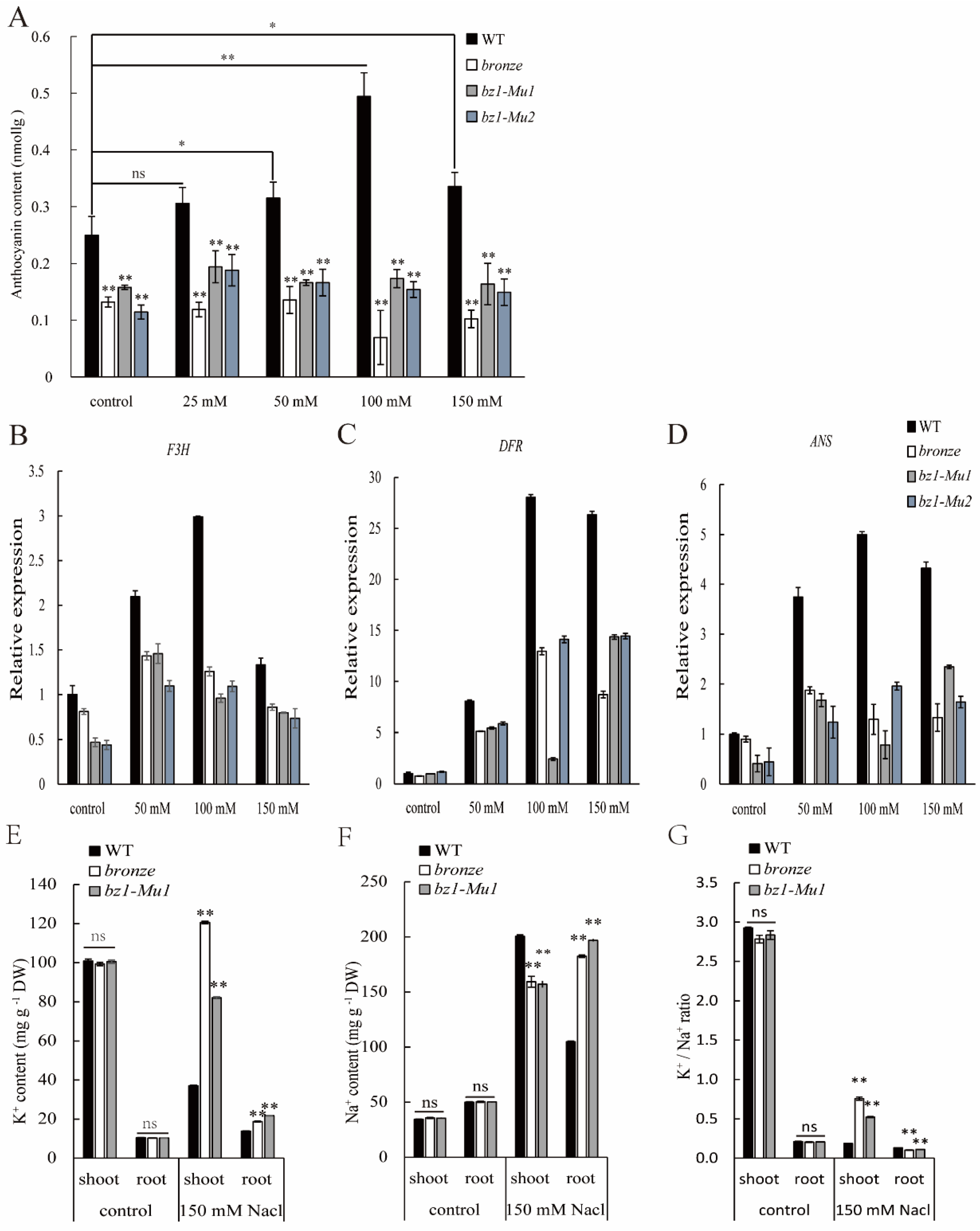 Ijms 23 16123 g006 Ijms 23 16123 g006