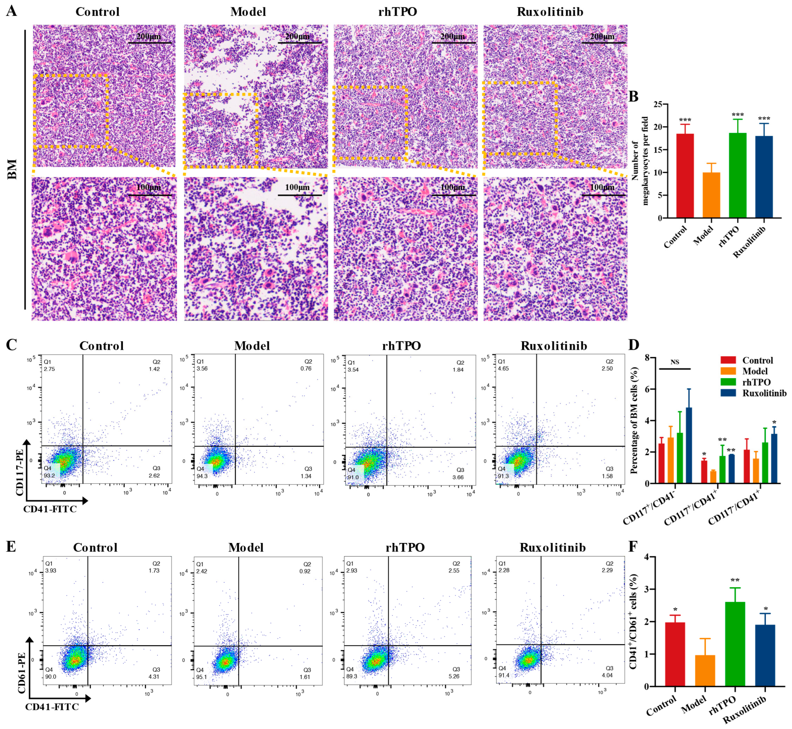Ijms 23 16137 g004 Ijms 23 16137 g004