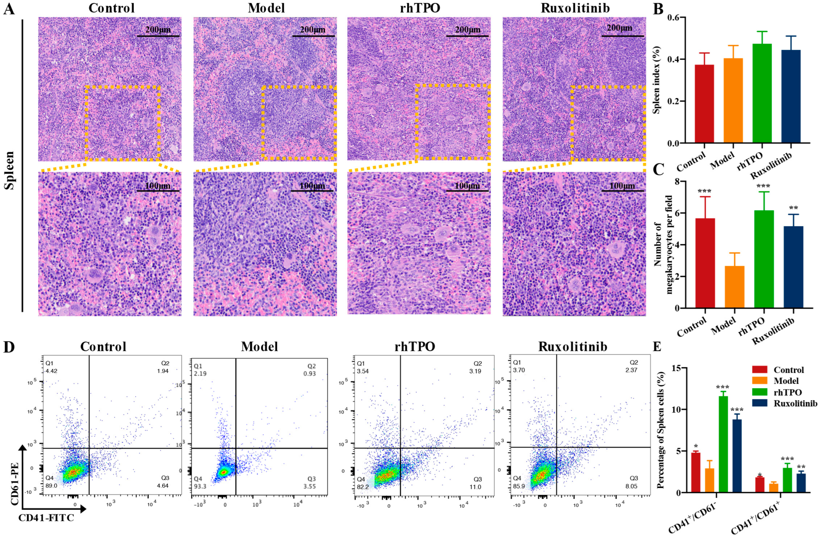 Ijms 23 16137 g005 Ijms 23 16137 g005