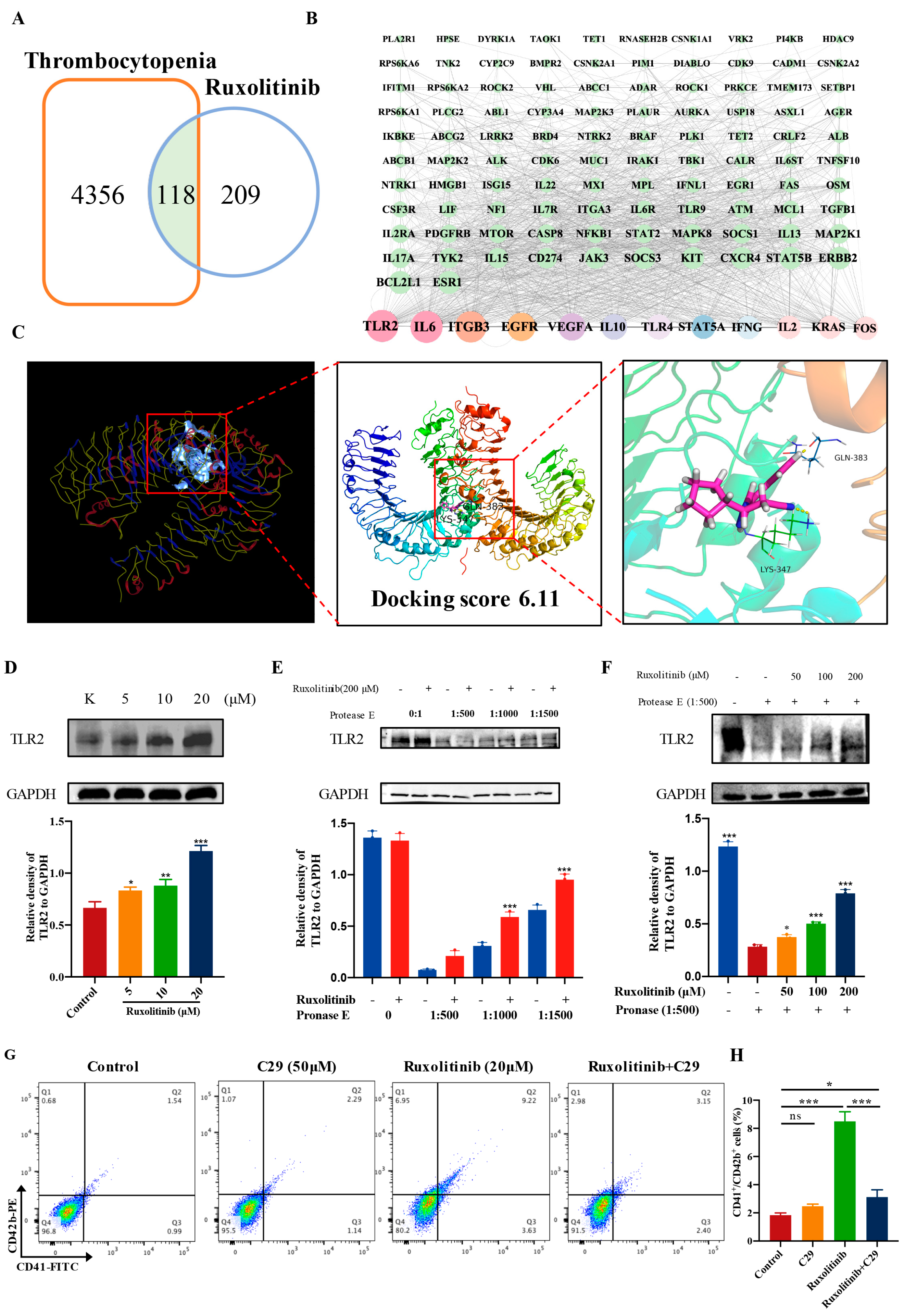 Ijms 23 16137 g008 Ijms 23 16137 g008
