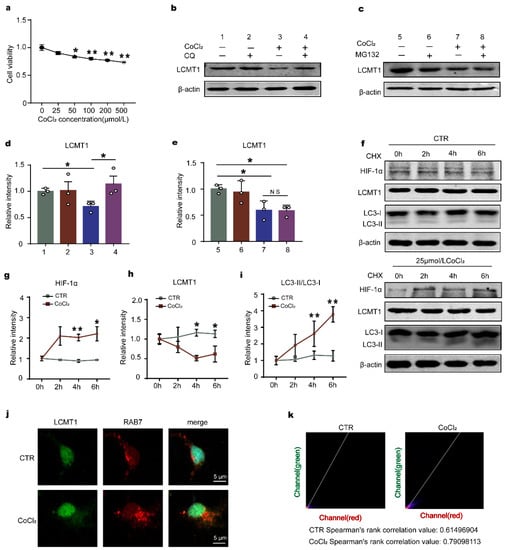 IJMS | Free Full-Text | HIF-1α Causes LCMT1/PP2A