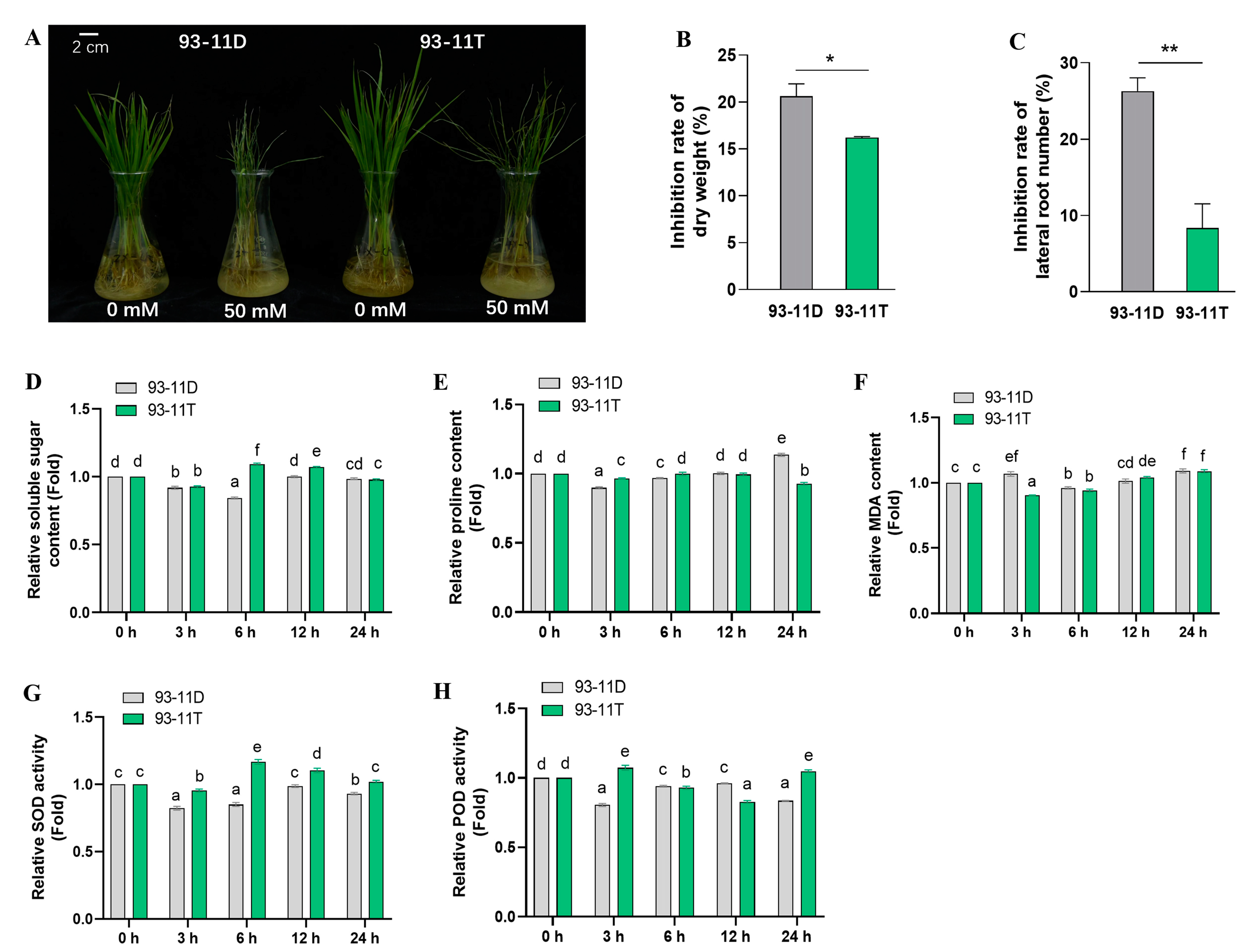 Ijms 23 16146 g001 Ijms 23 16146 g001