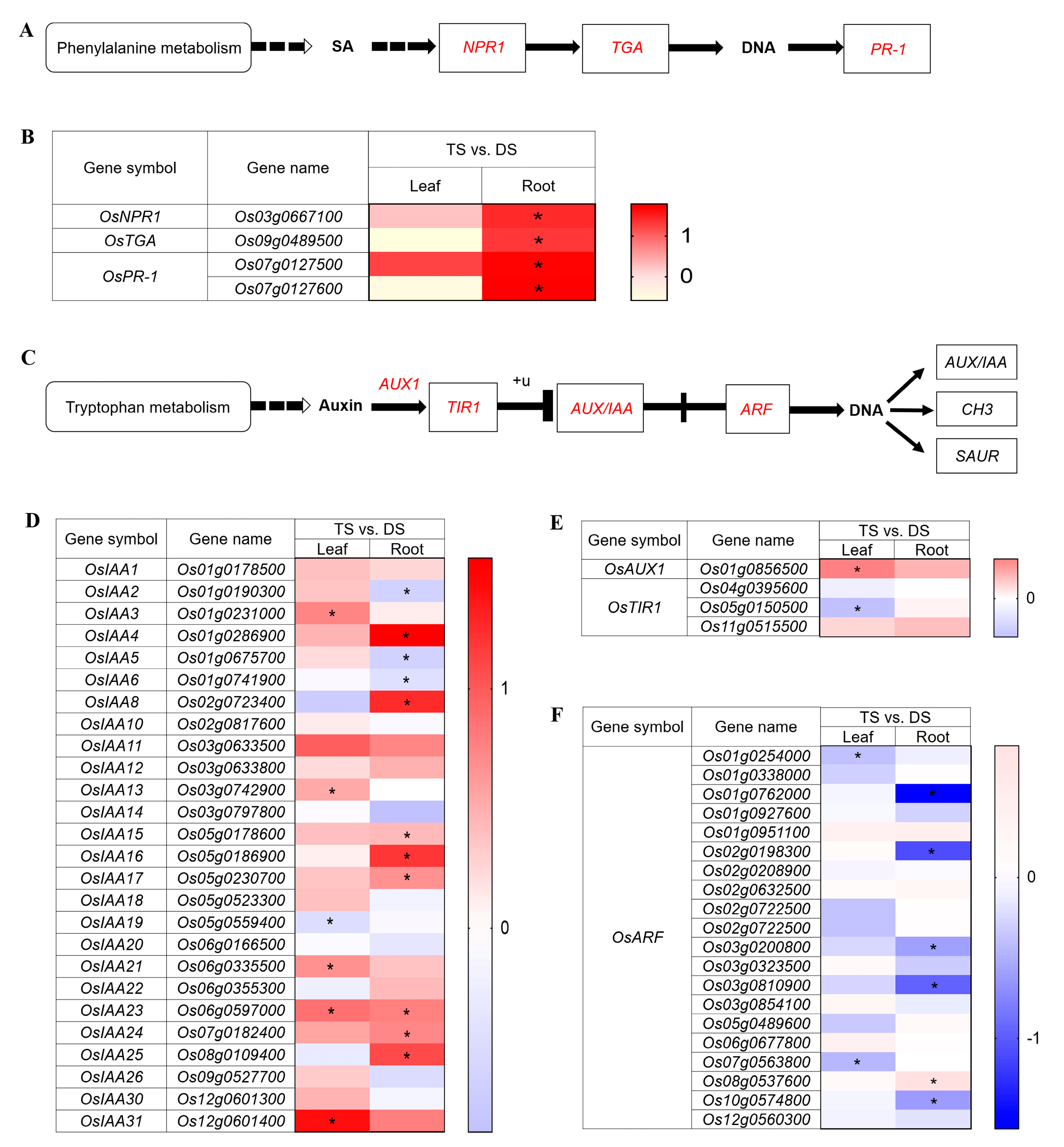 Ijms 23 16146 g007 Ijms 23 16146 g007