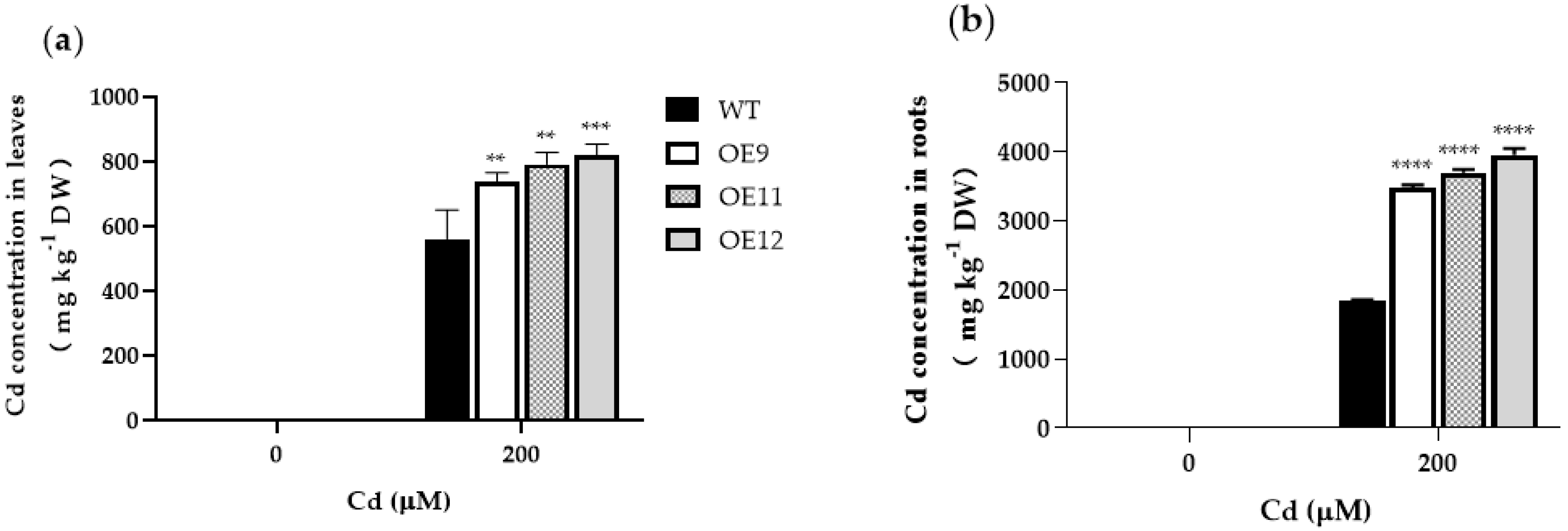 Ijms 23 16167 g004 Ijms 23 16167 g004
