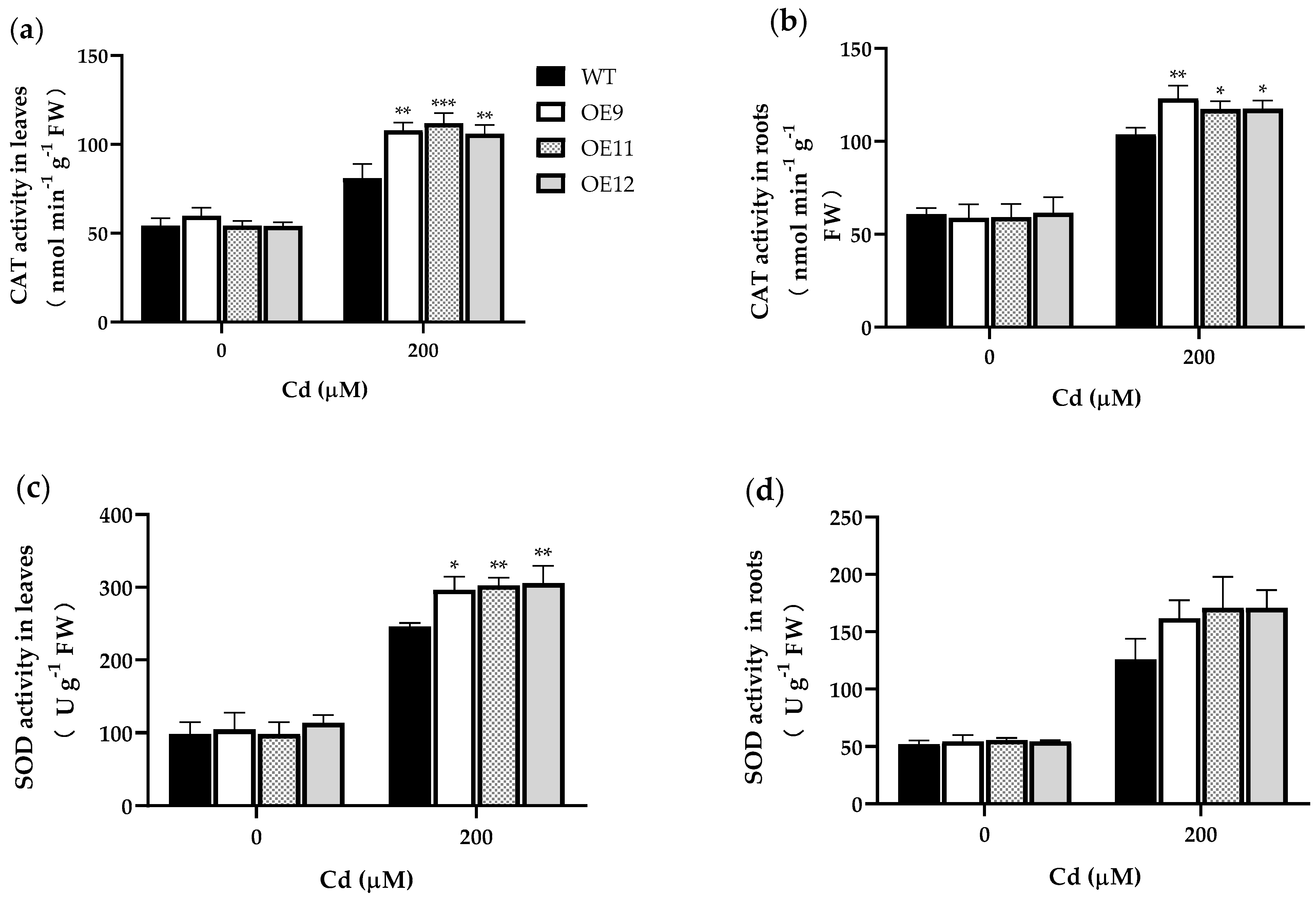 Ijms 23 16167 g005a Ijms 23 16167 g005a