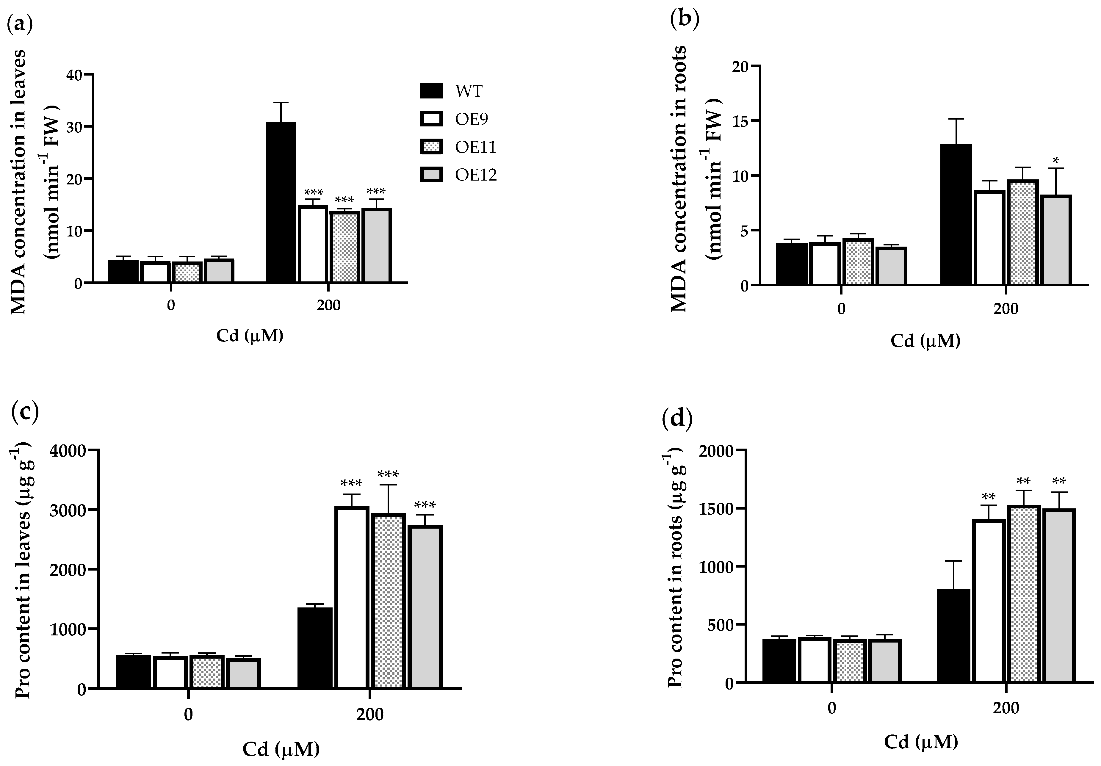 Ijms 23 16167 g007 Ijms 23 16167 g007