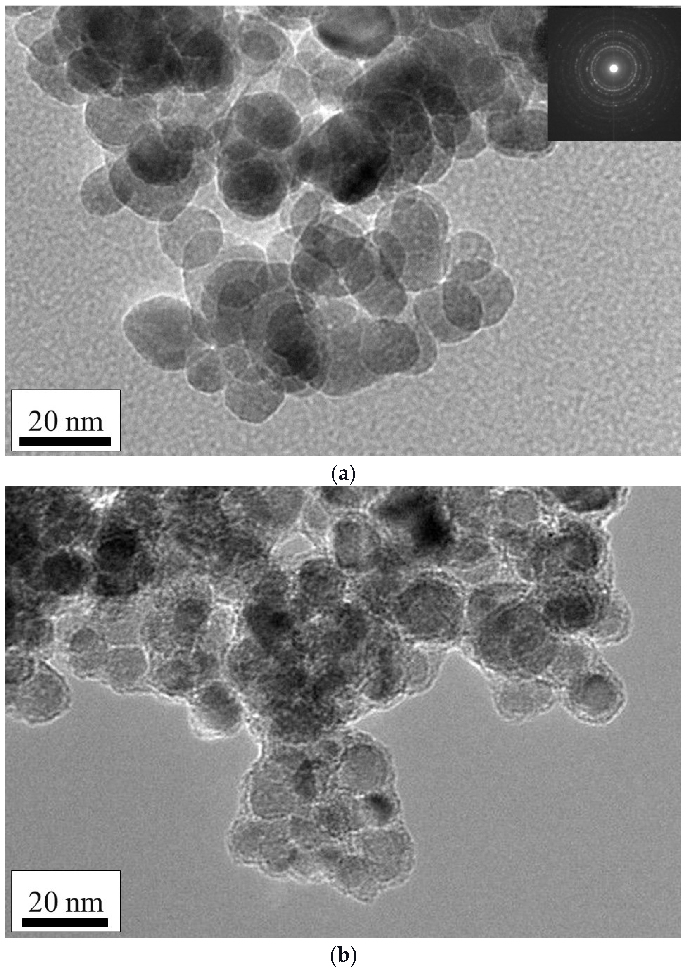 Ijms 23 16186 g005 Ijms 23 16186 g005