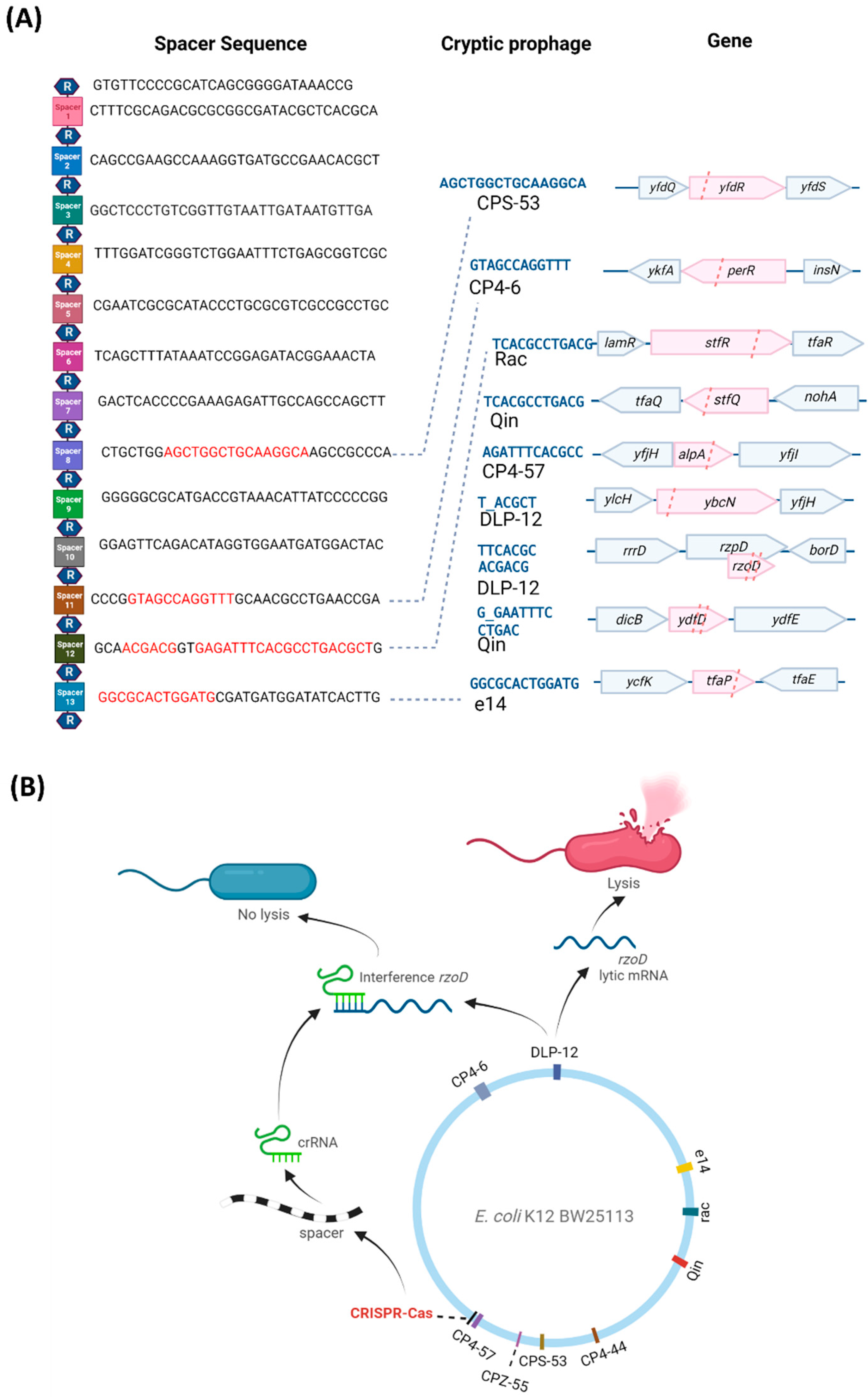 Ijms 23 16195 g002 Ijms 23 16195 g002