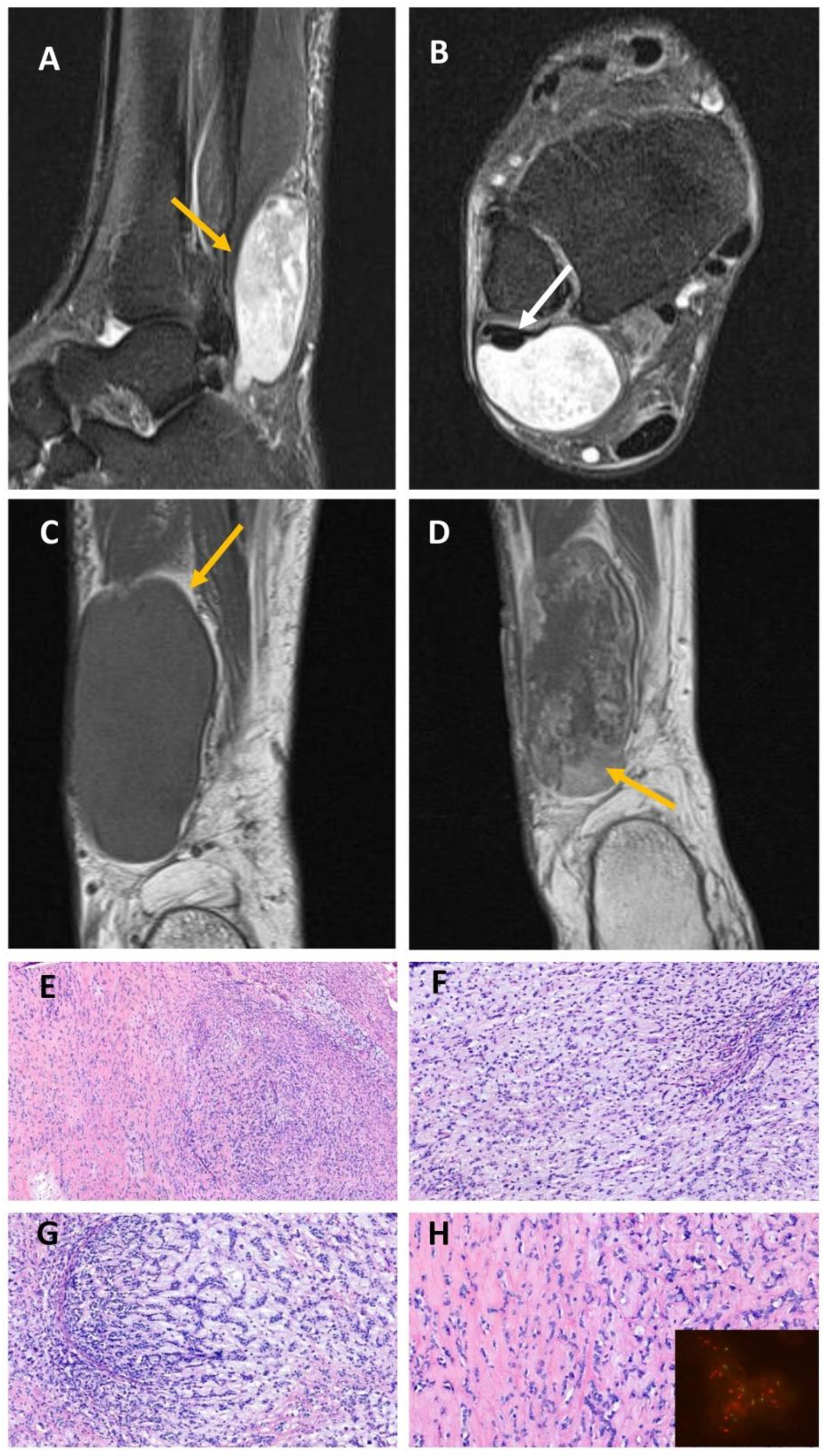 Ijms 23 16196 g006 Ijms 23 16196 g006
