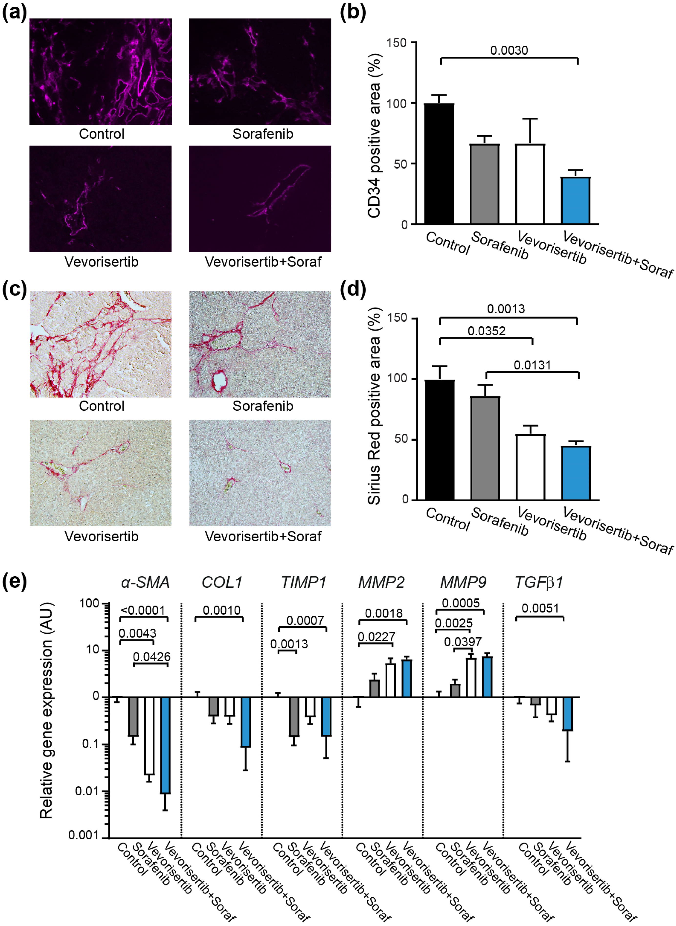 Ijms 23 16206 g004 Ijms 23 16206 g004