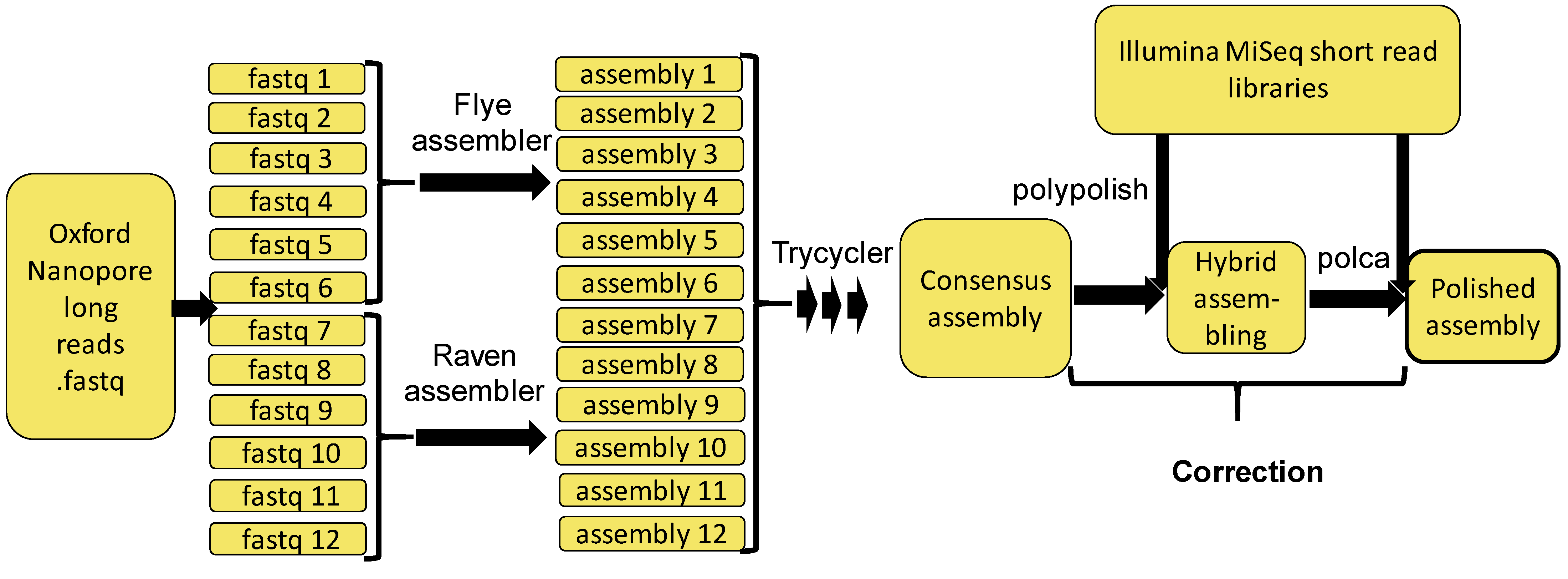 Ijms 23 16212 g003 Ijms 23 16212 g003