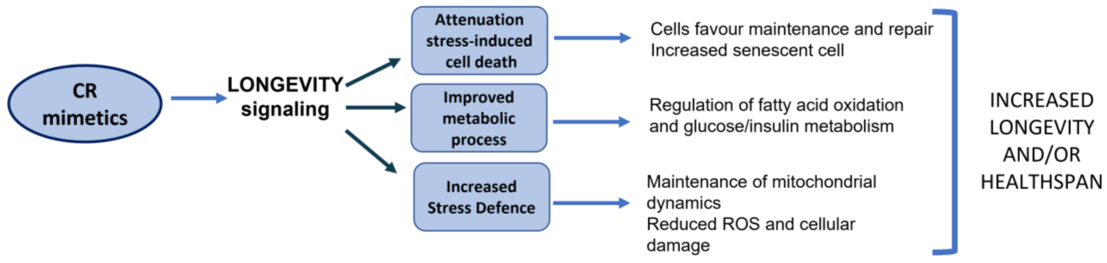 Ijms 23 16219 g001 Ijms 23 16219 g001