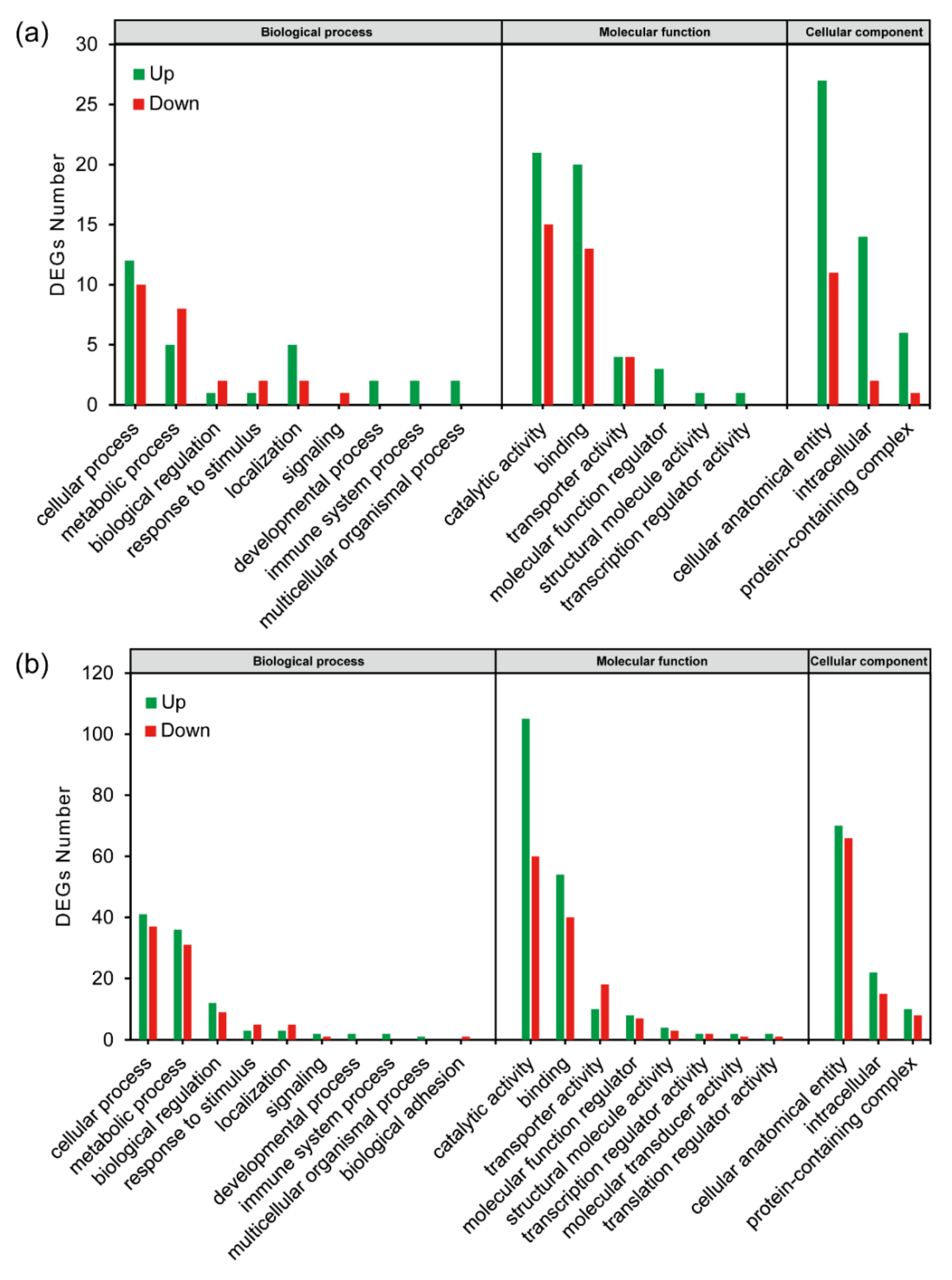 Ijms 23 16220 g005 Ijms 23 16220 g005