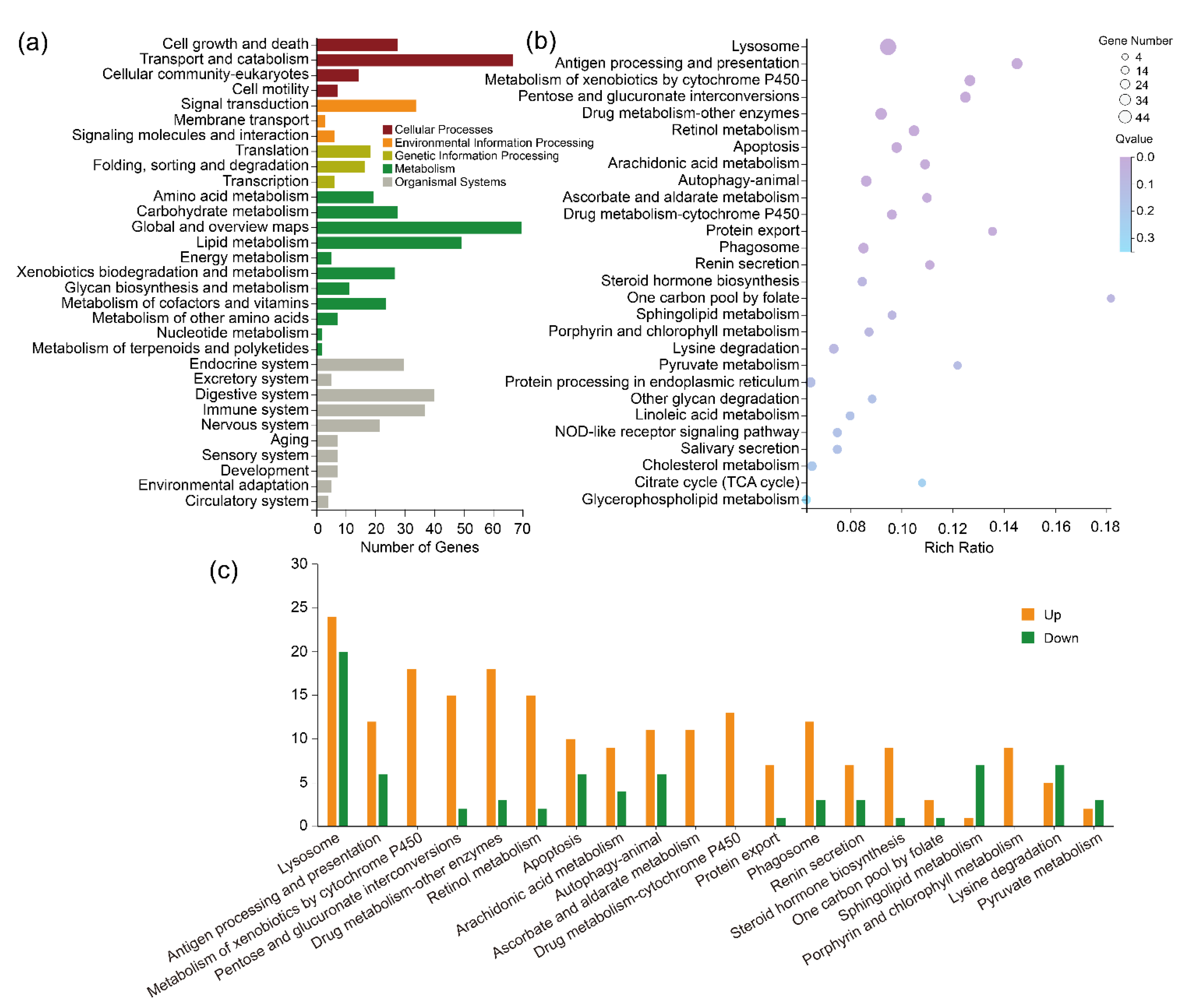 Ijms 23 16220 g008 Ijms 23 16220 g008