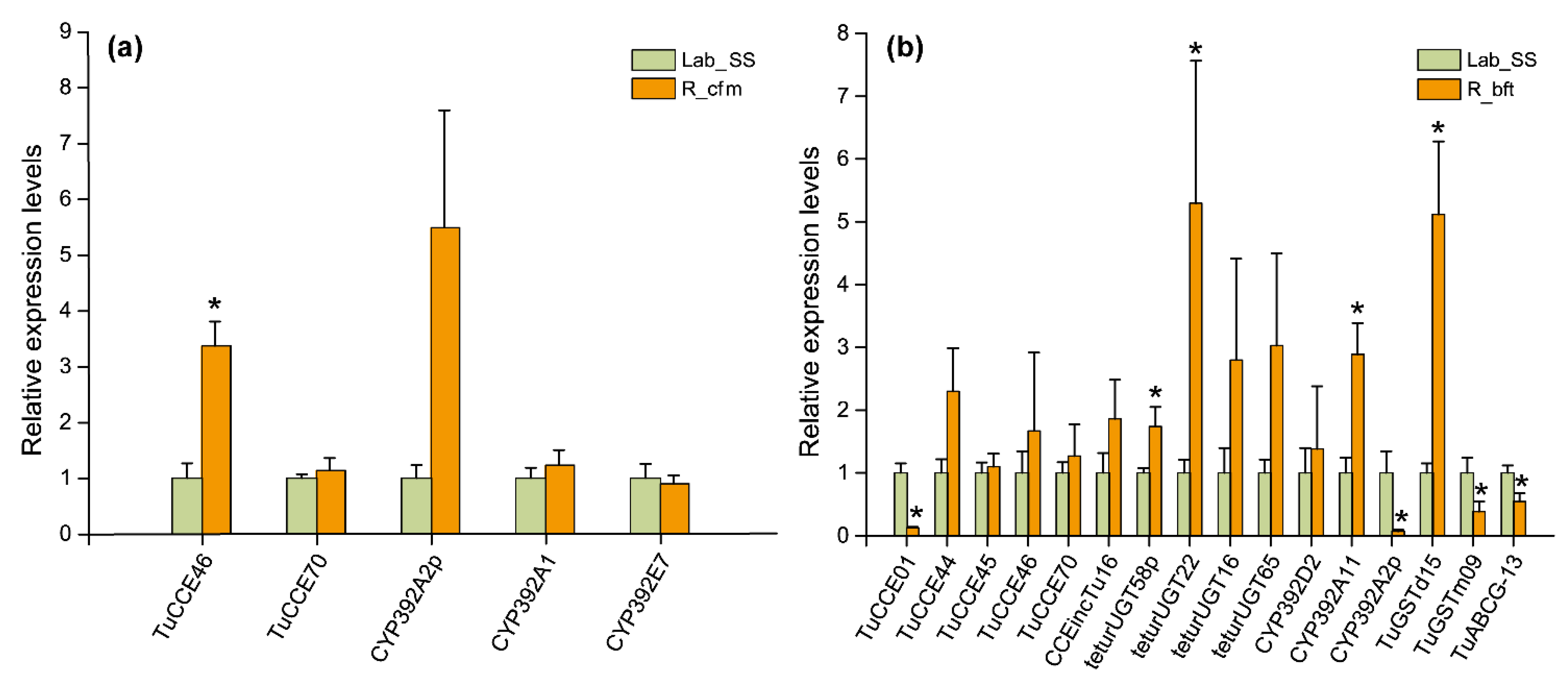 Ijms 23 16220 g009 Ijms 23 16220 g009