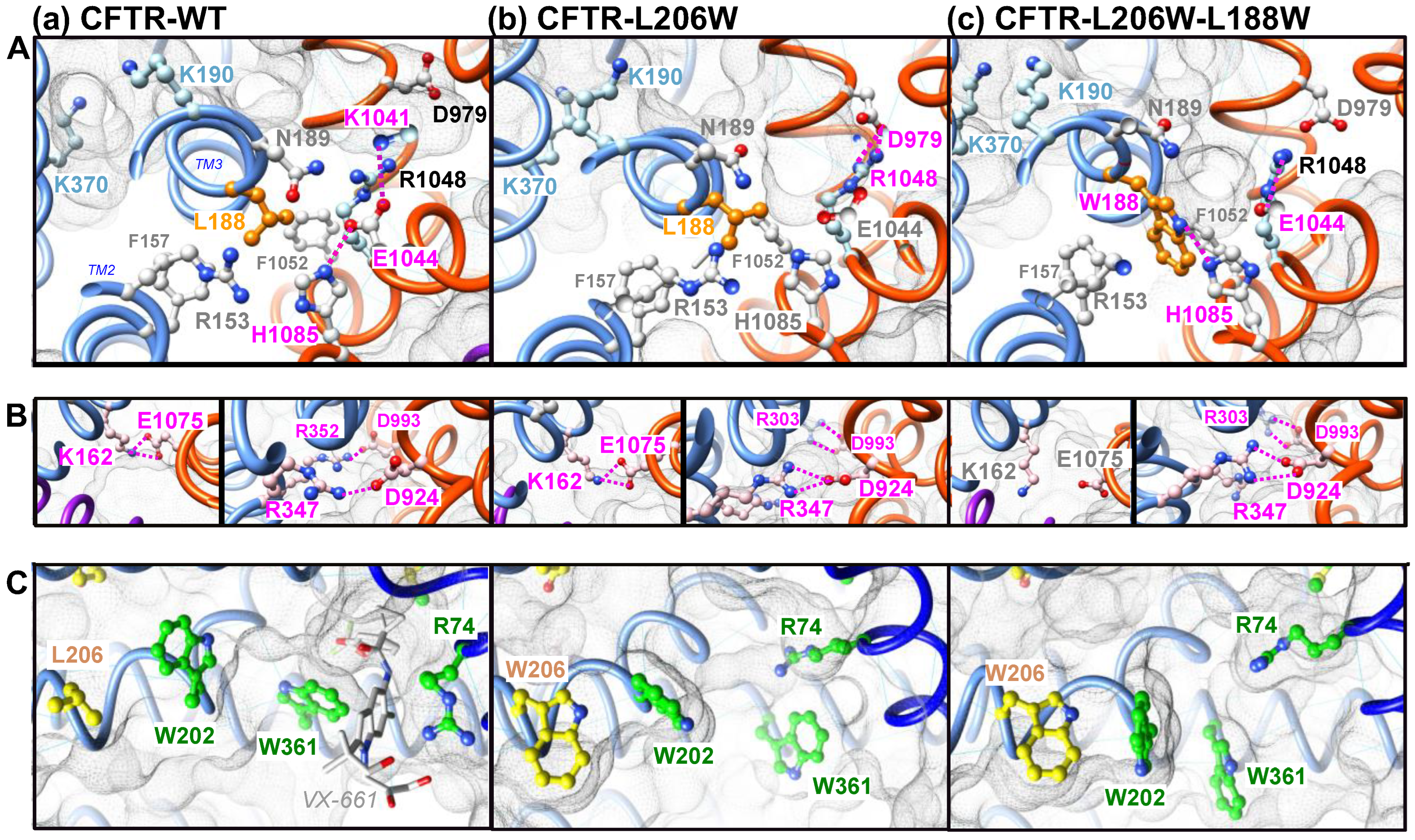 Ijms 23 16225 g004 Ijms 23 16225 g004
