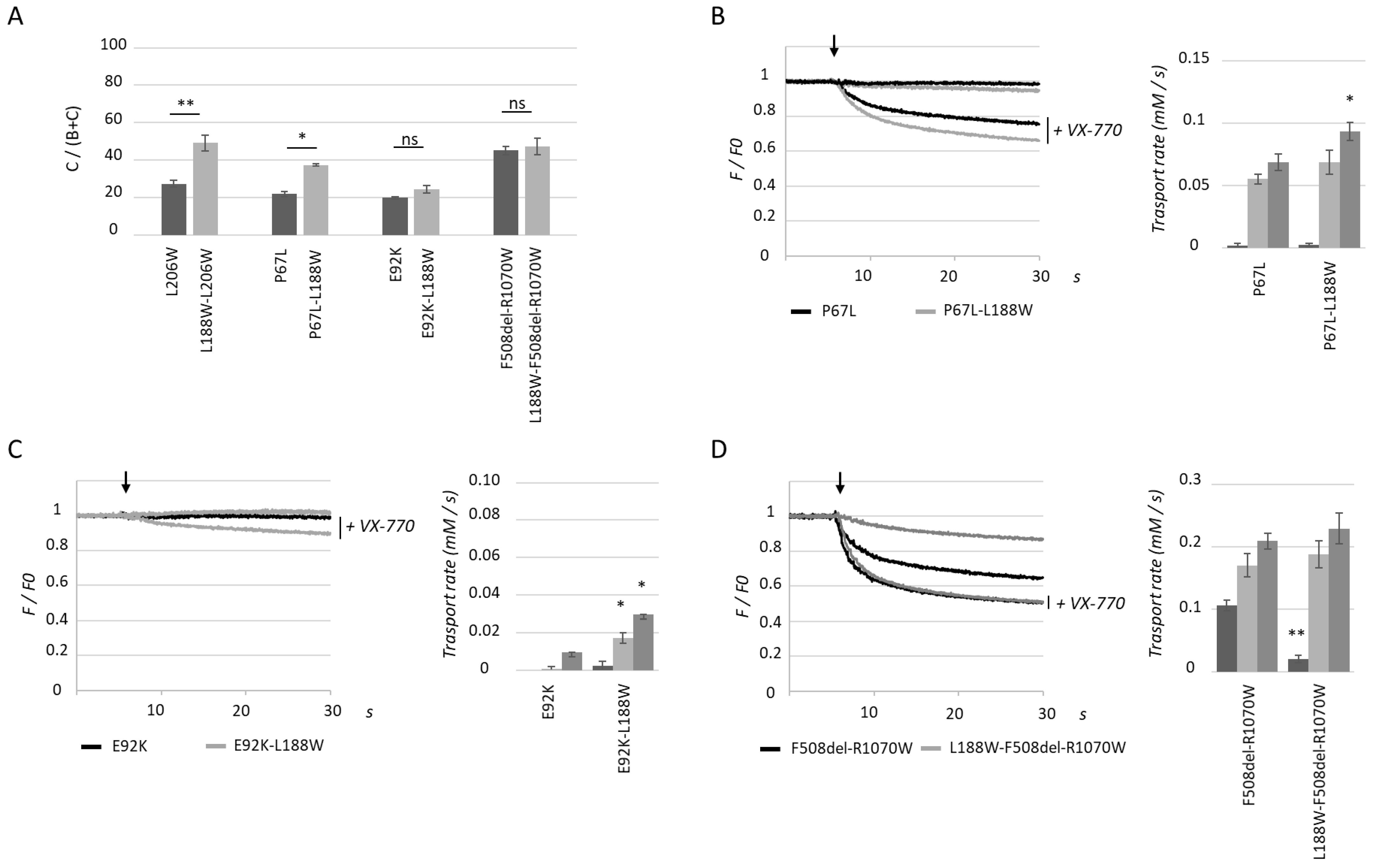 Ijms 23 16225 g005 Ijms 23 16225 g005