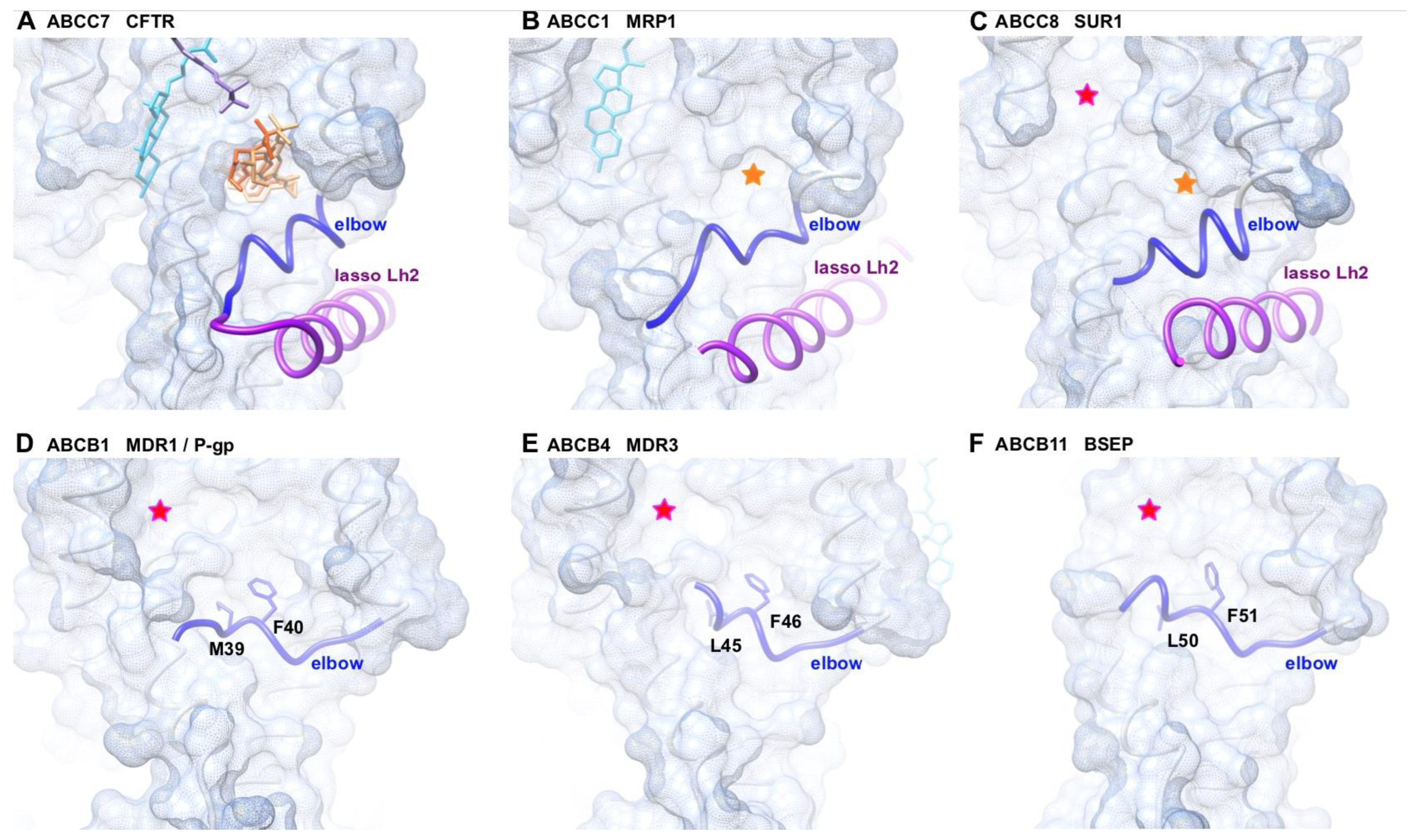 Ijms 23 16225 g006 Ijms 23 16225 g006