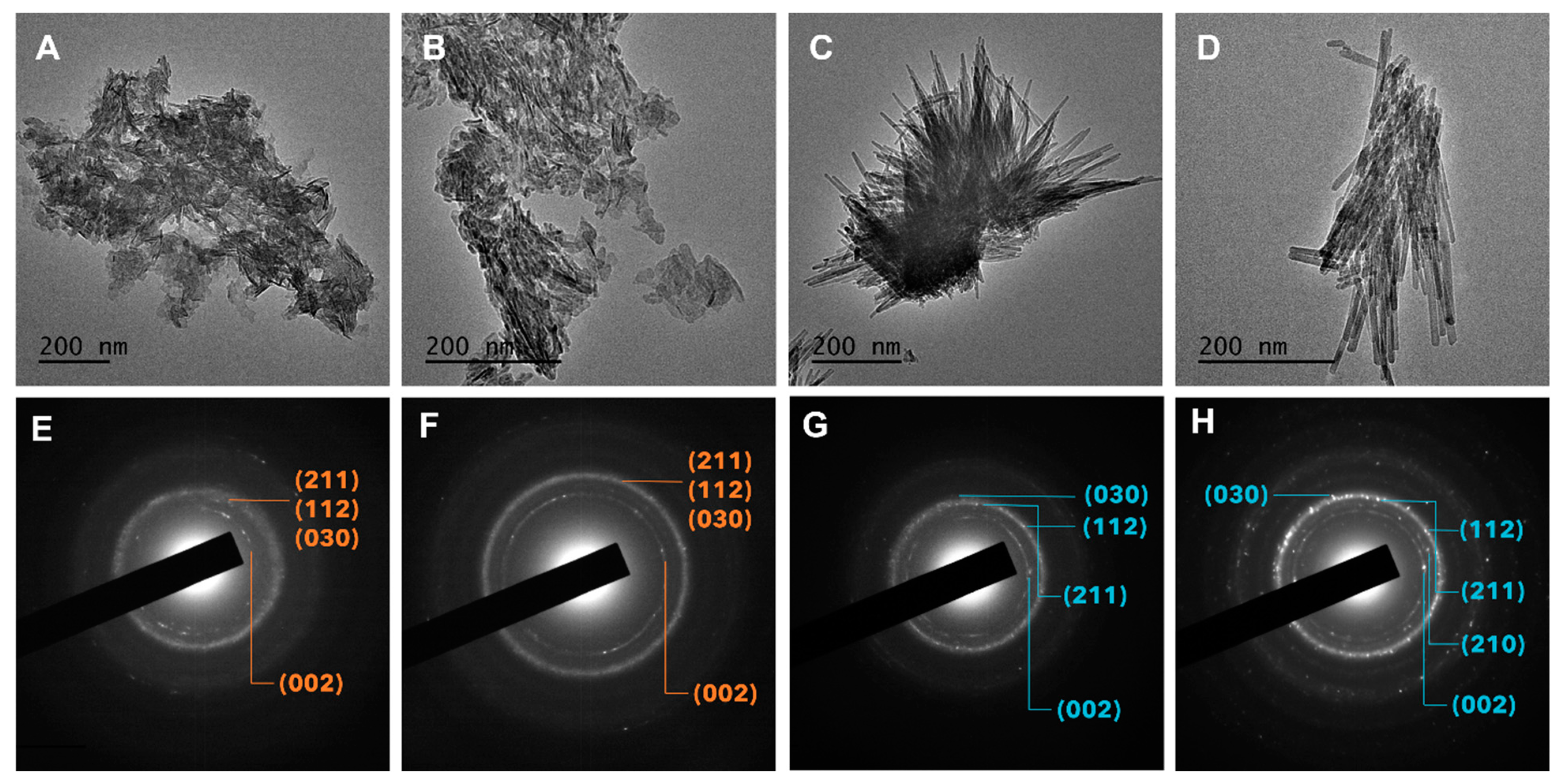 Ijms 24 00043 g005 Ijms 24 00043 g005