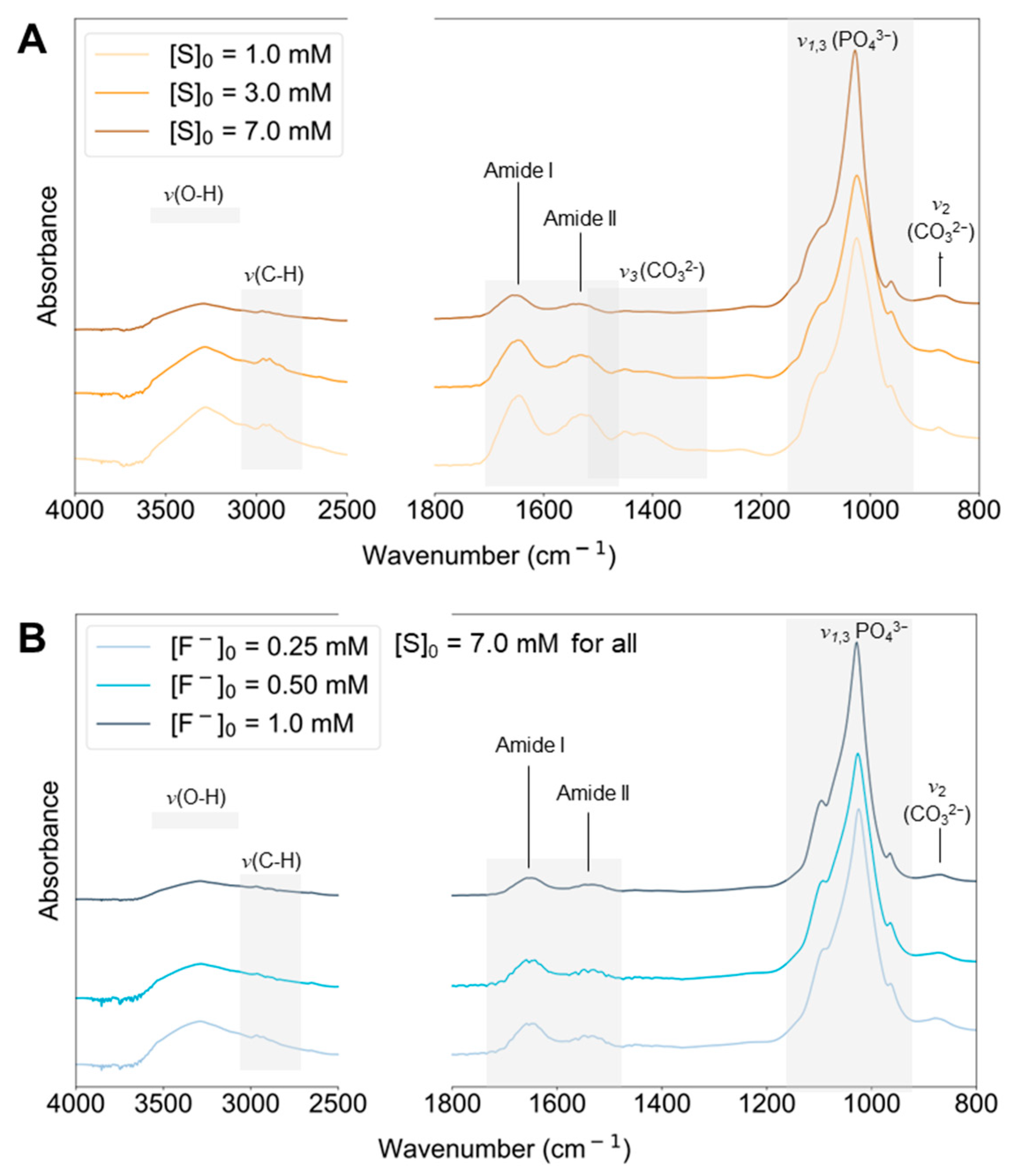 Ijms 24 00043 g006 Ijms 24 00043 g006