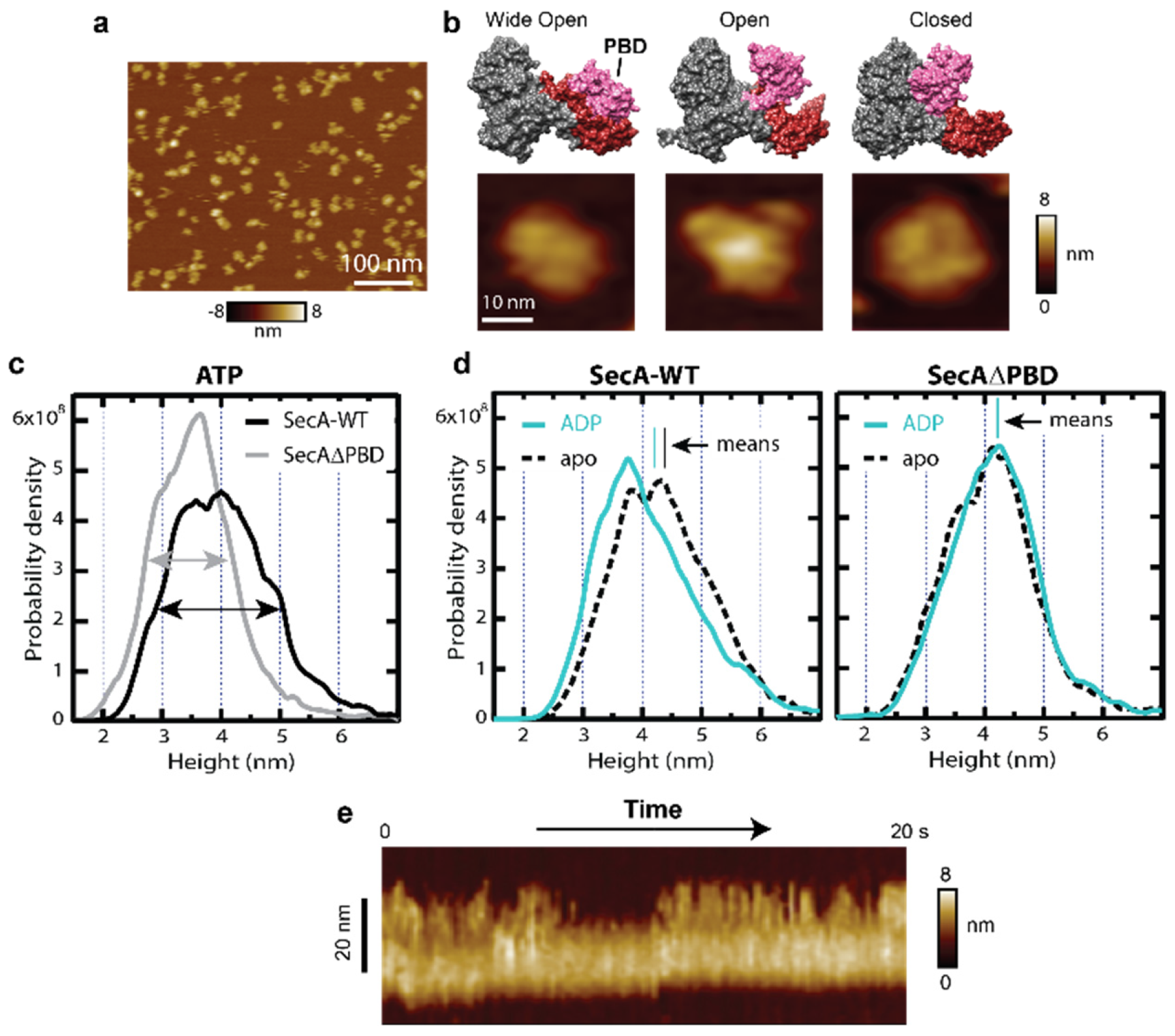 Ijms 24 00055 g002 Ijms 24 00055 g002