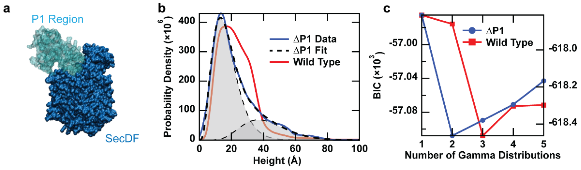 Ijms 24 00055 g004 Ijms 24 00055 g004