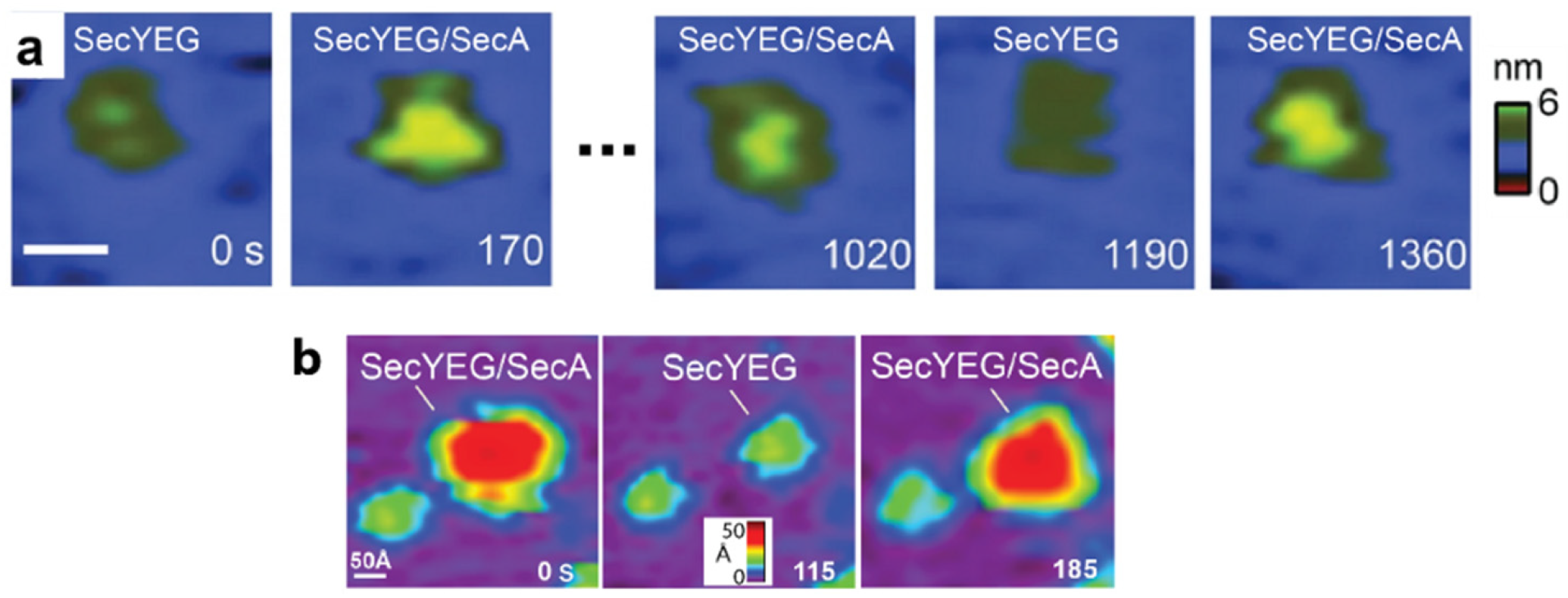 Ijms 24 00055 g005 Ijms 24 00055 g005