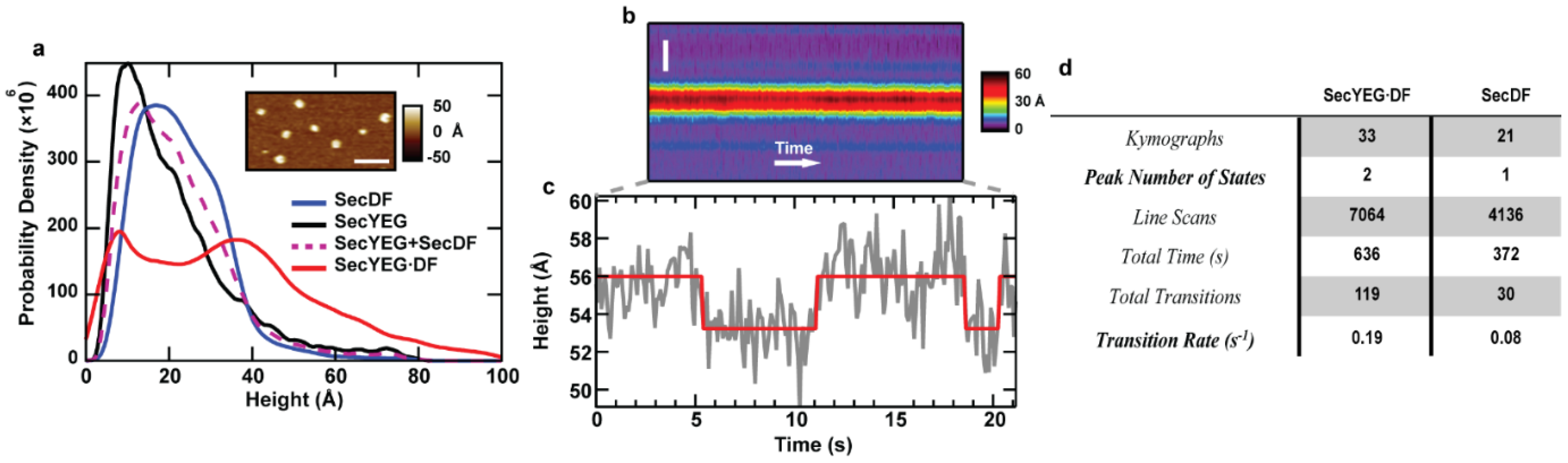 Ijms 24 00055 g006 Ijms 24 00055 g006