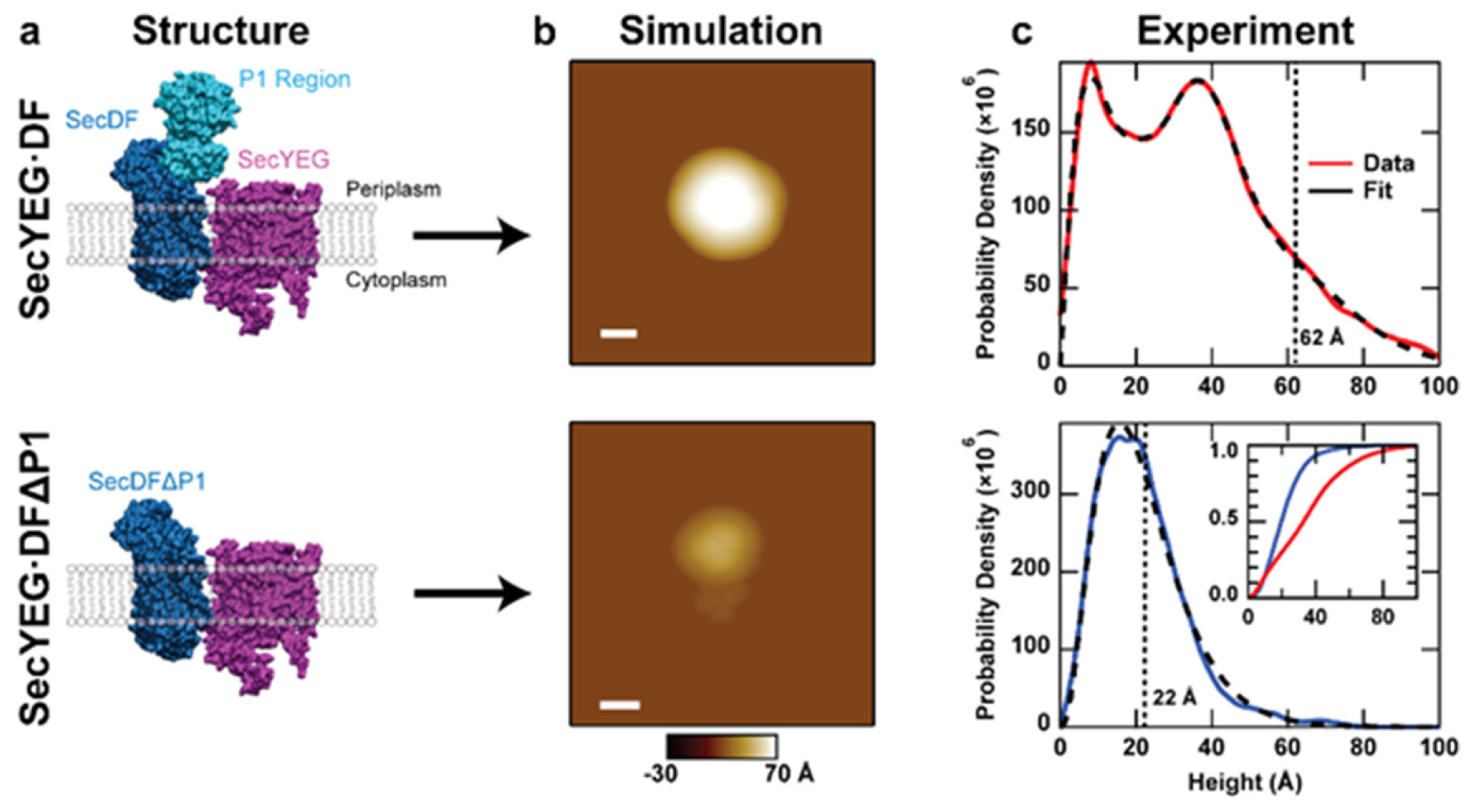 Ijms 24 00055 g007 Ijms 24 00055 g007