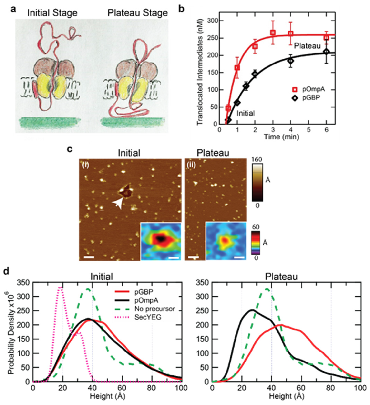 Ijms 24 00055 g008 Ijms 24 00055 g008