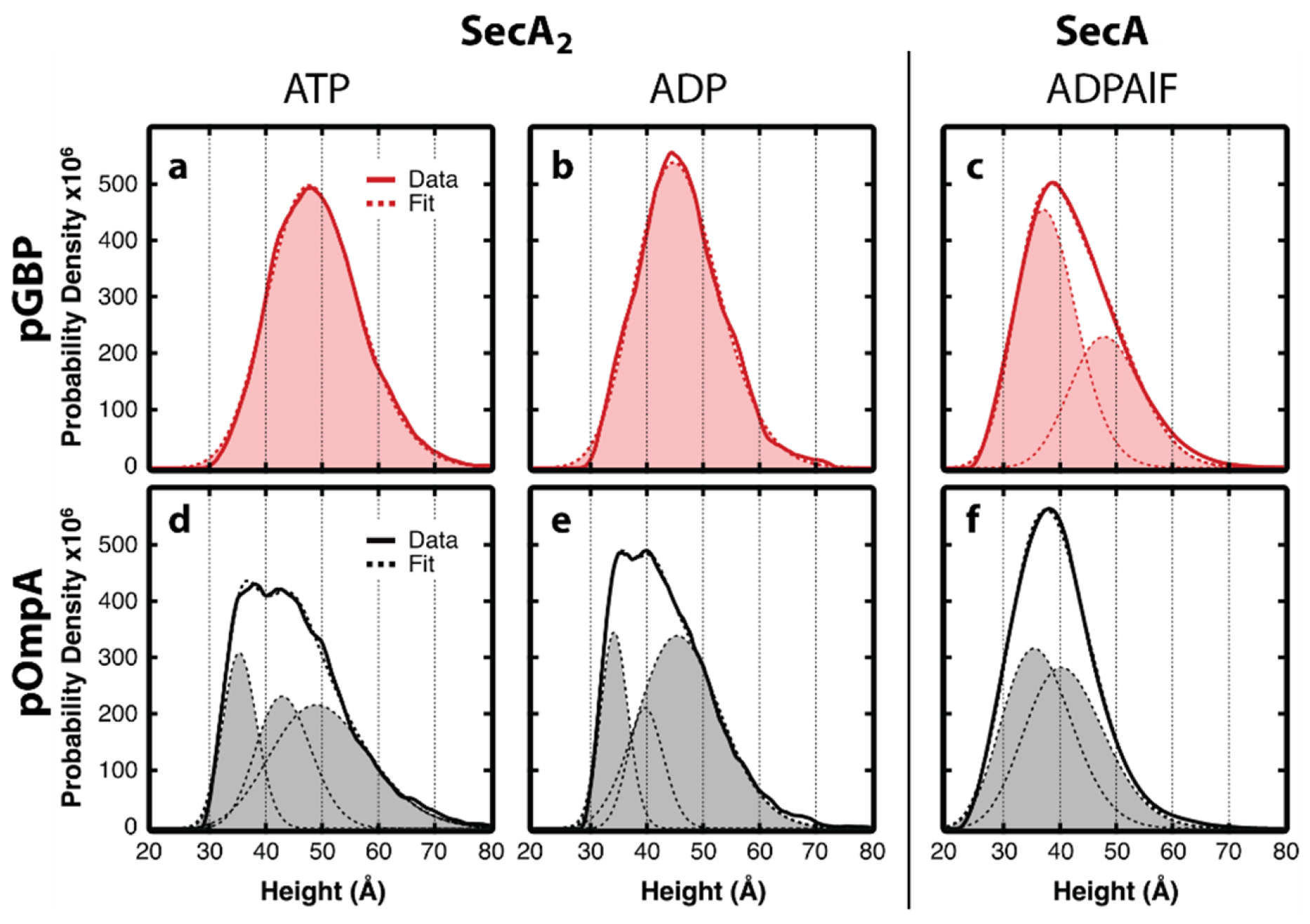 Ijms 24 00055 g010 Ijms 24 00055 g010