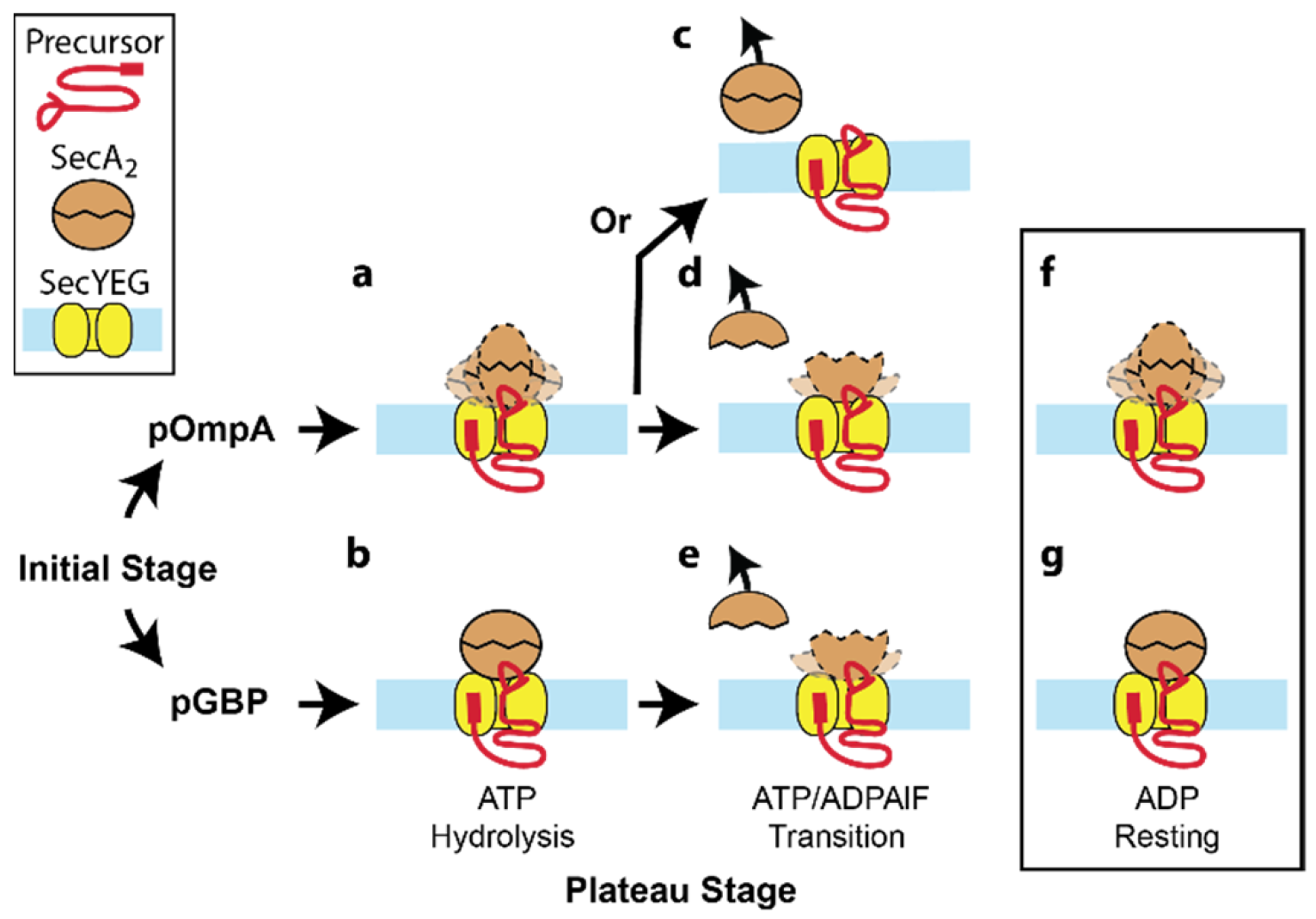 Ijms 24 00055 g011 Ijms 24 00055 g011