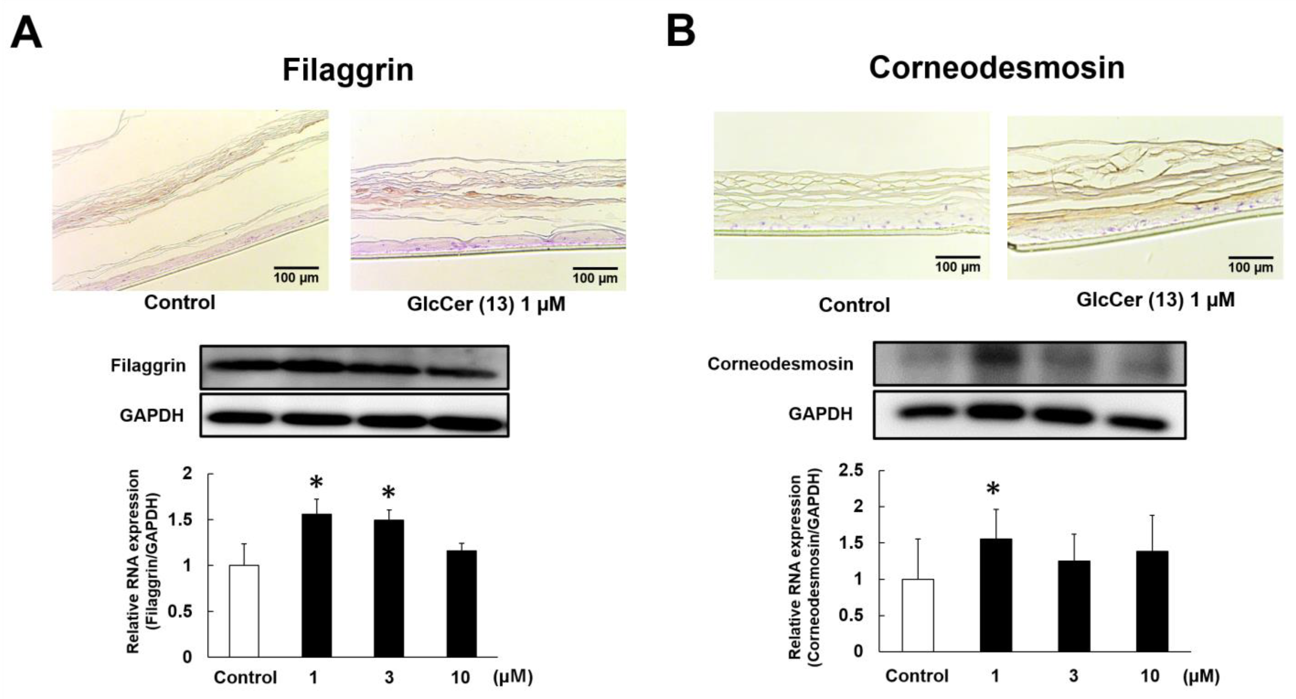 Ijms 24 00083 g008 Ijms 24 00083 g008