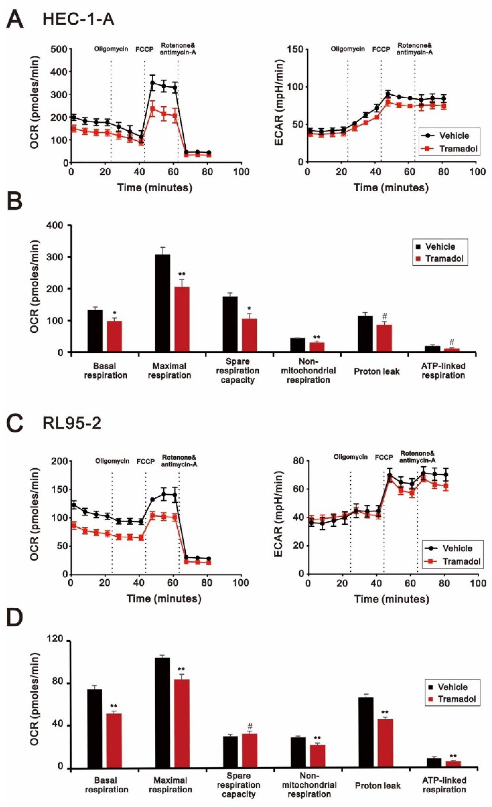 Ijms 24 00099 g007 Ijms 24 00099 g007