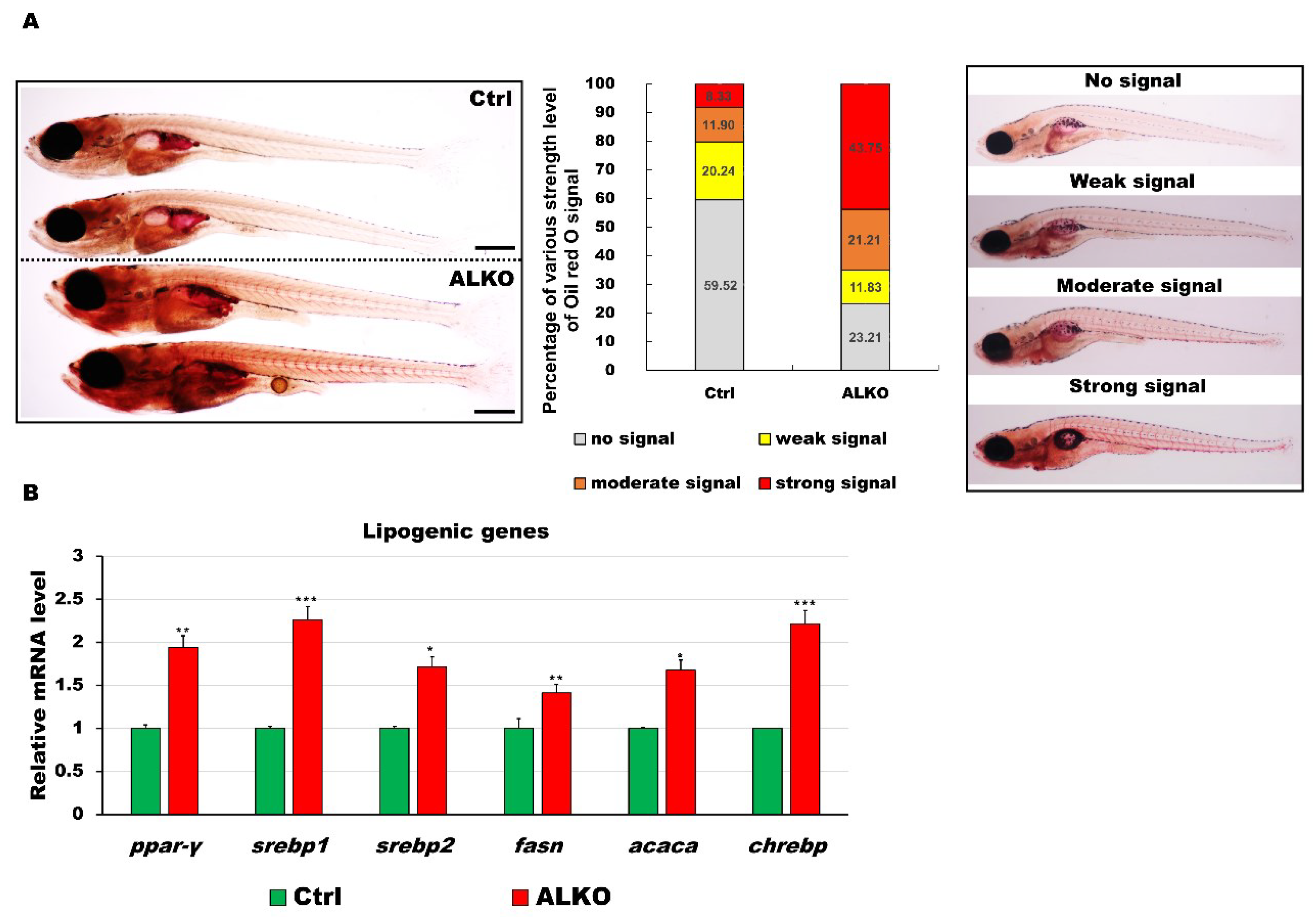 Ijms 24 00117 g002 Ijms 24 00117 g002