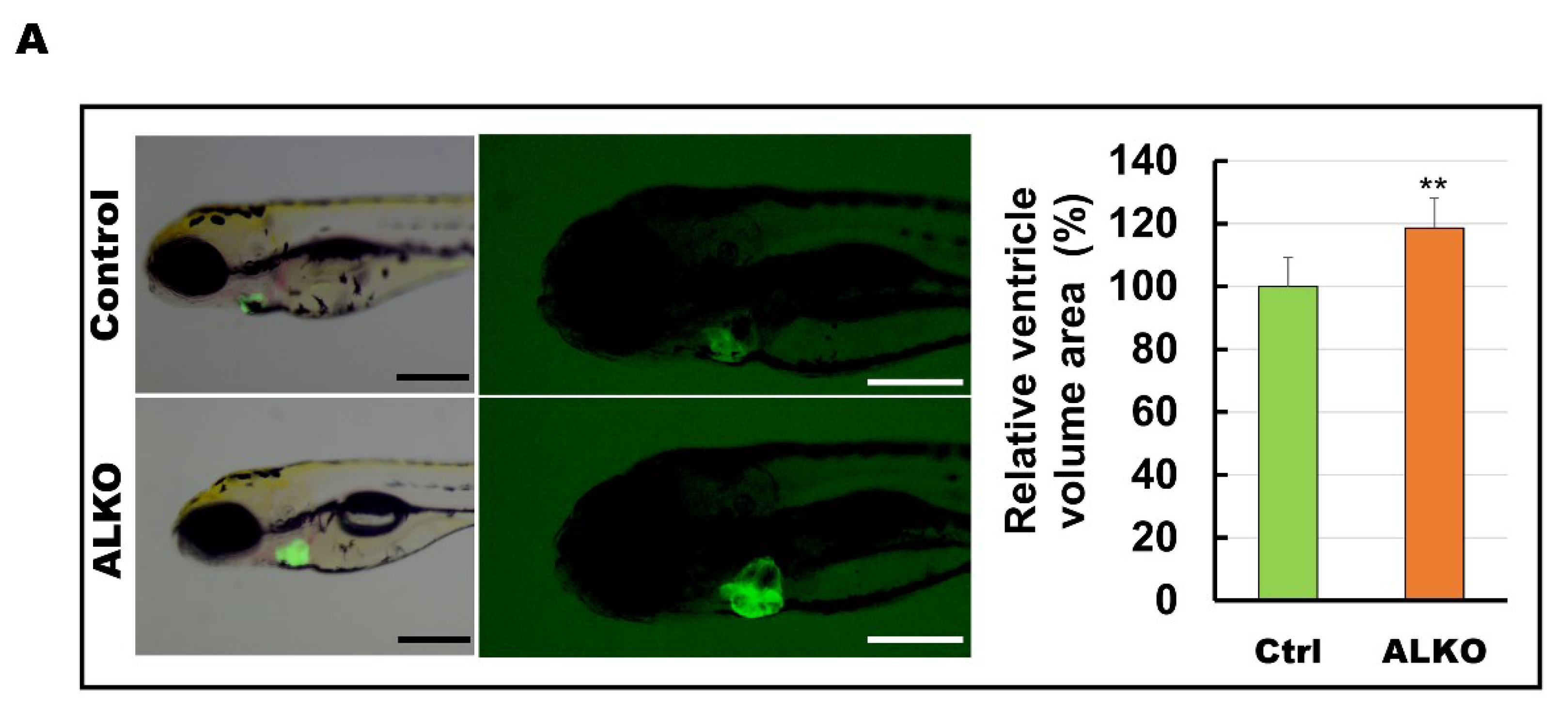 Ijms 24 00117 g004a Ijms 24 00117 g004a