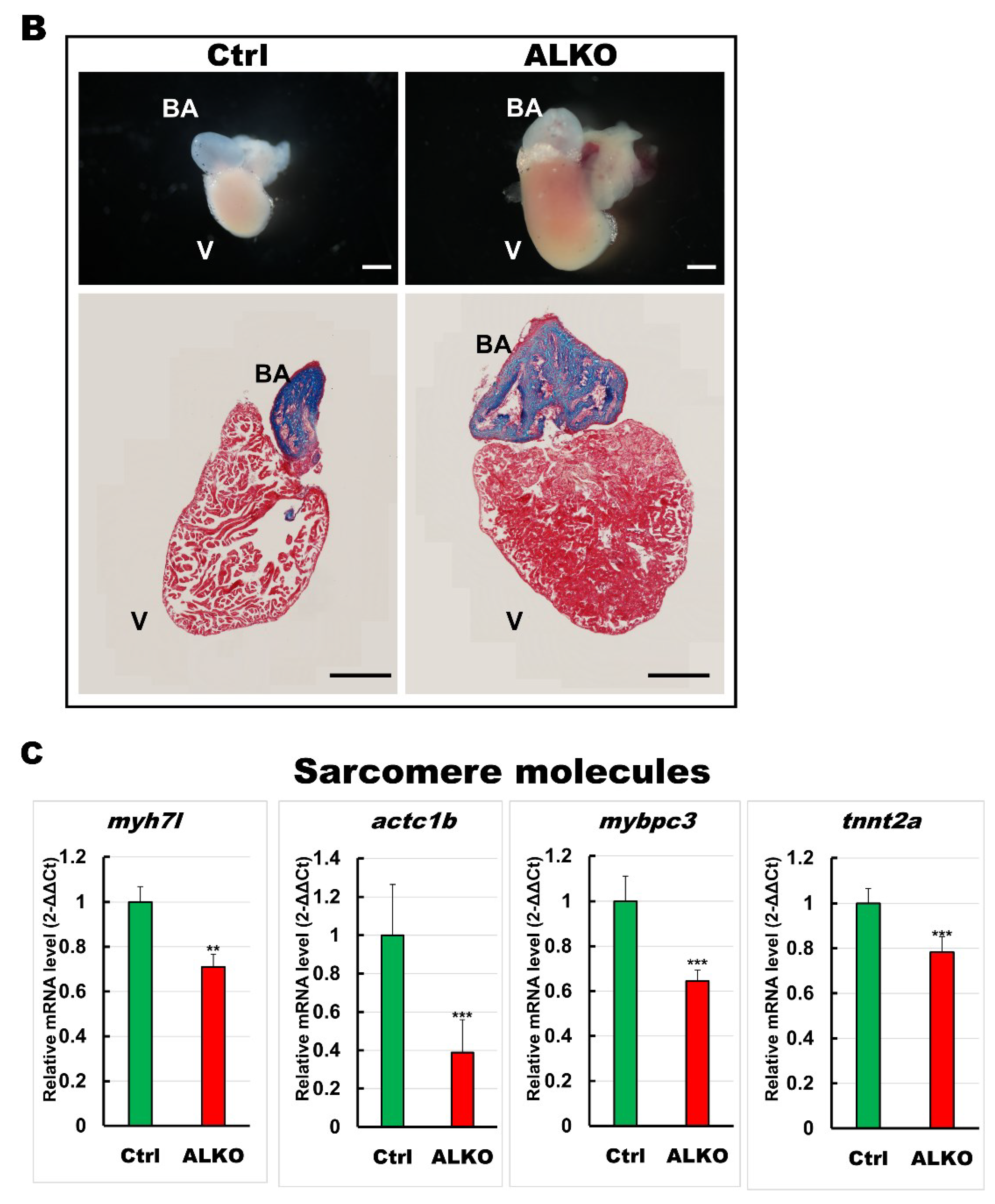 Ijms 24 00117 g004b Ijms 24 00117 g004b