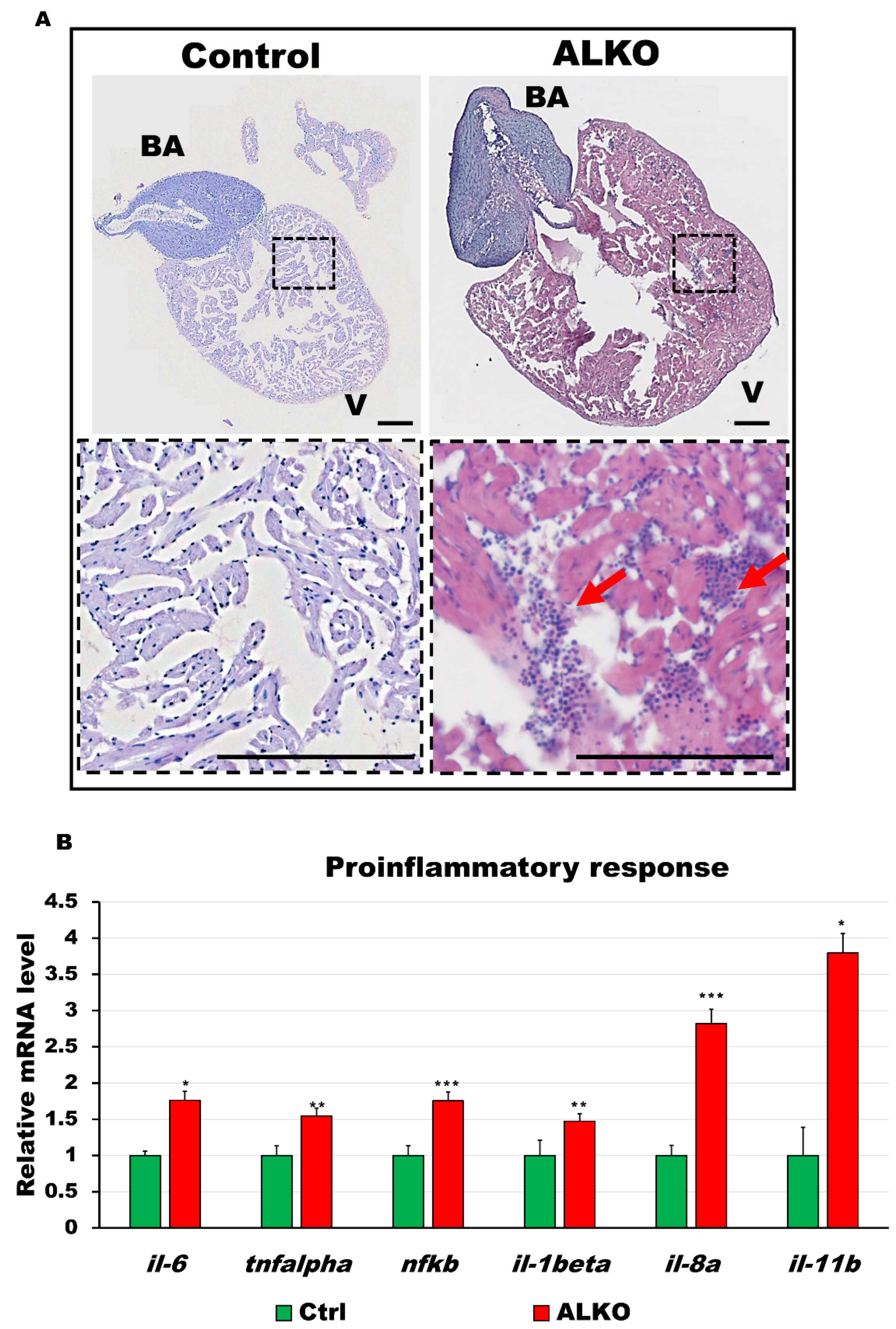 Ijms 24 00117 g005 Ijms 24 00117 g005