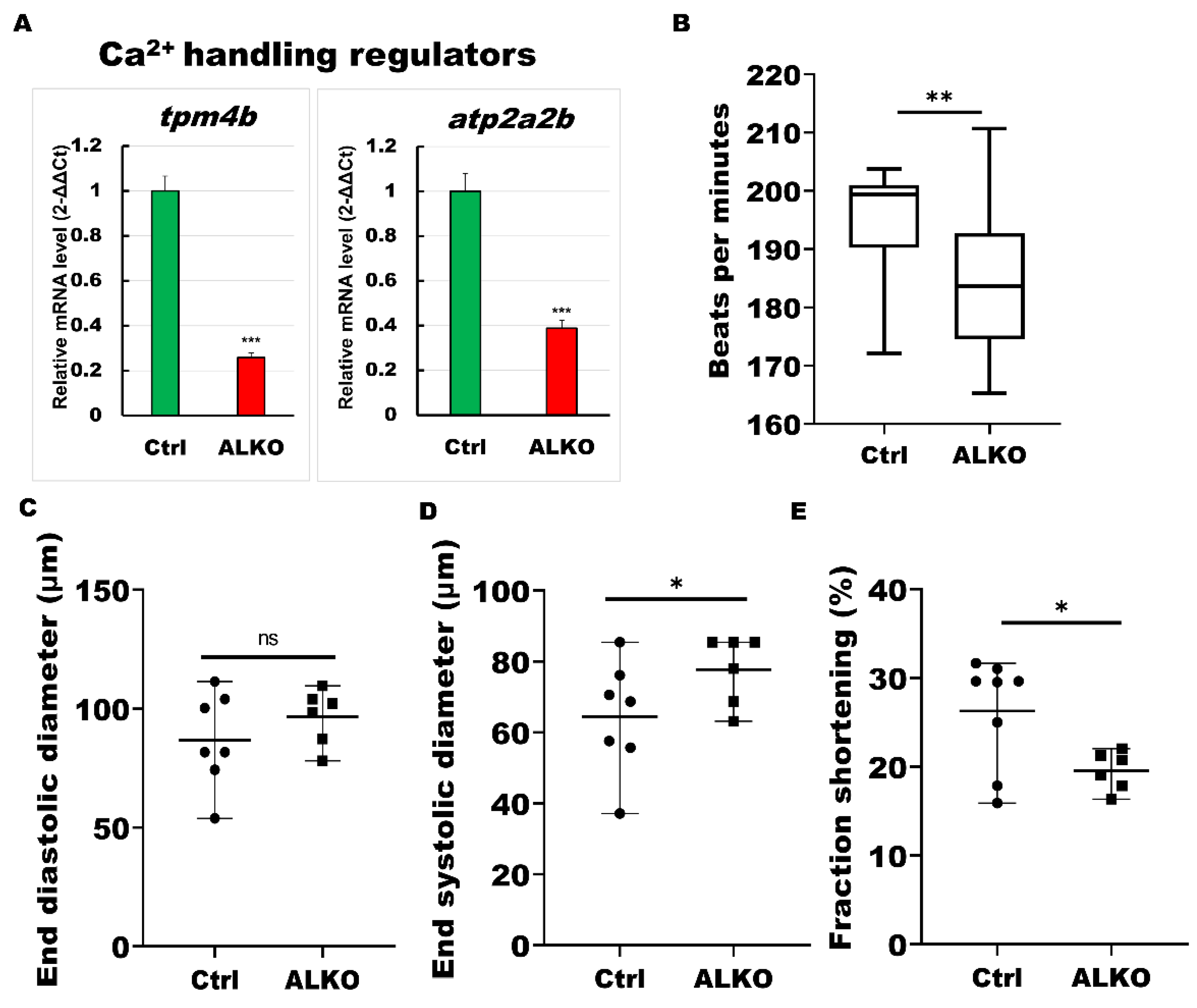 Ijms 24 00117 g006 Ijms 24 00117 g006