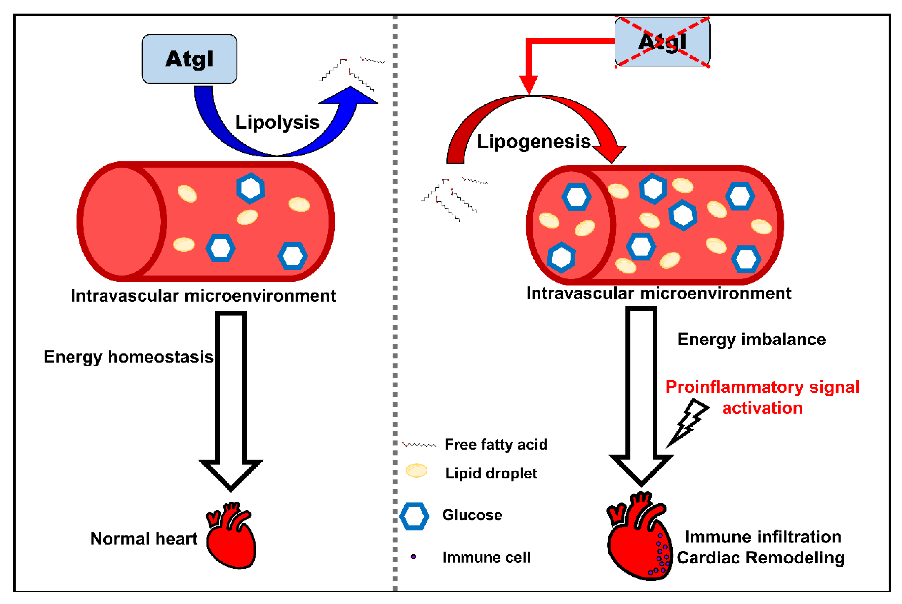 Ijms 24 00117 g007 Ijms 24 00117 g007