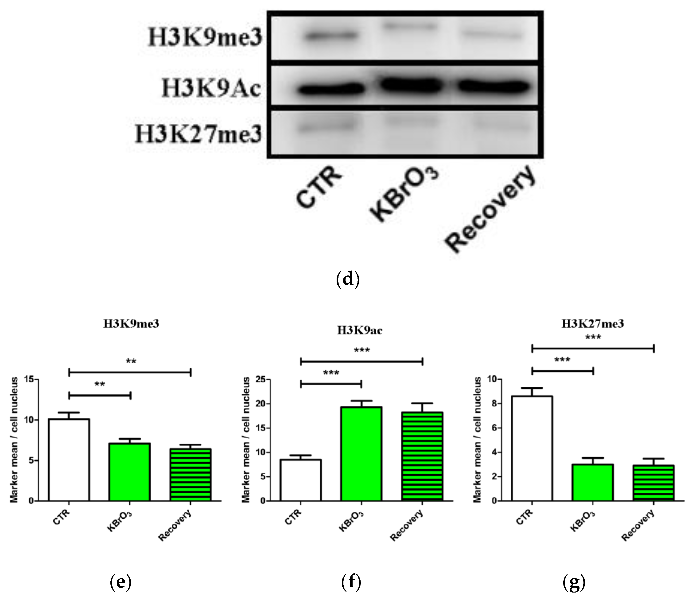 Ijms 24 00153 g003d Ijms 24 00153 g003d