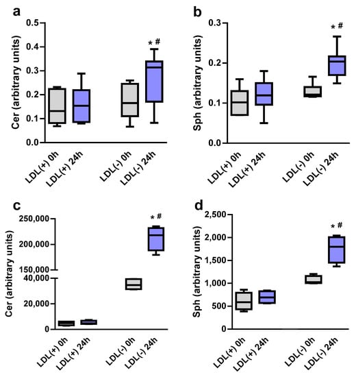 https://www.mdpi.com/ijms/ijms-24-00165/article_deploy/html/images/ijms-24-00165-g001-550.jpg