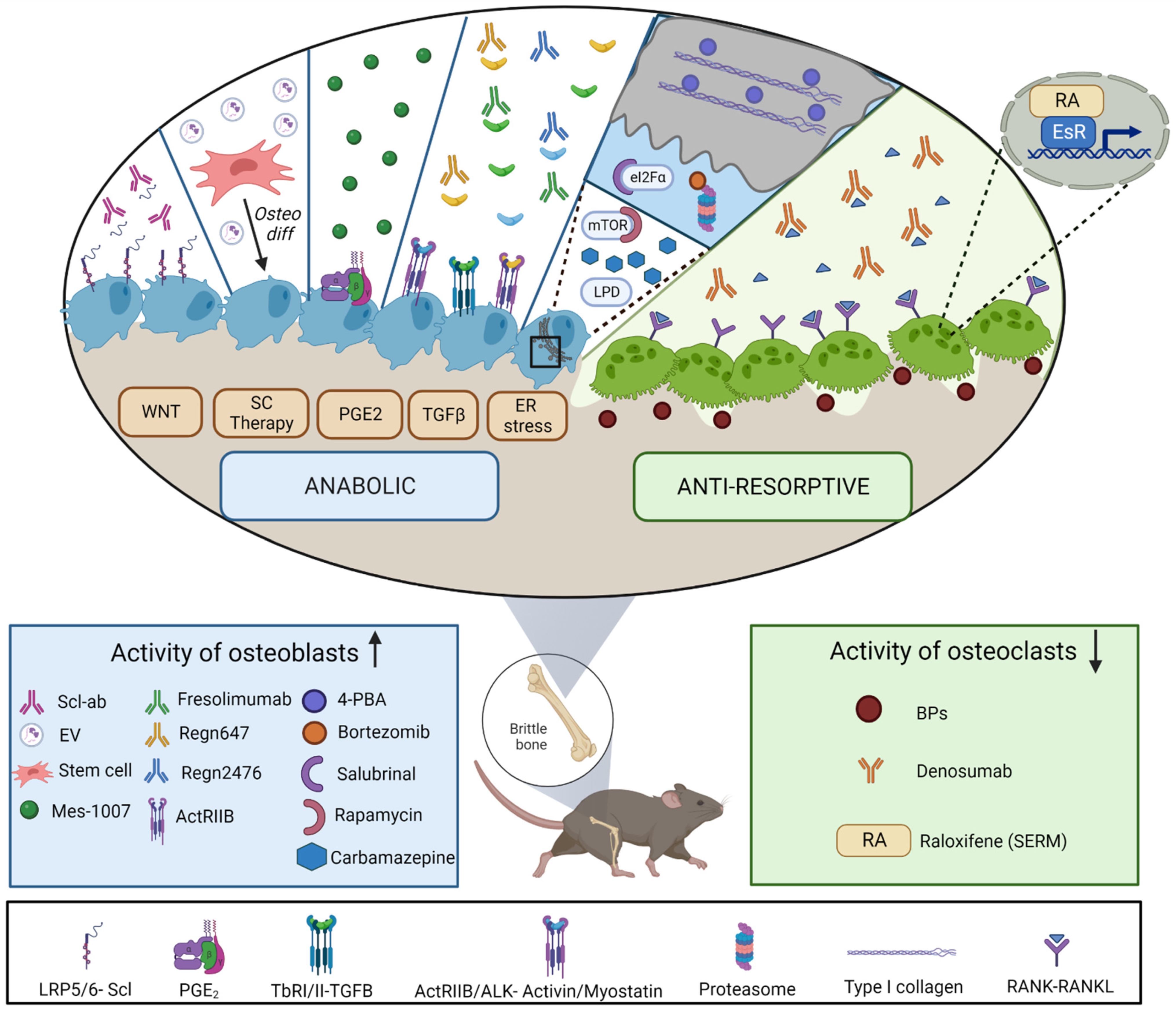 Ijms 24 00184 g002 Ijms 24 00184 g002