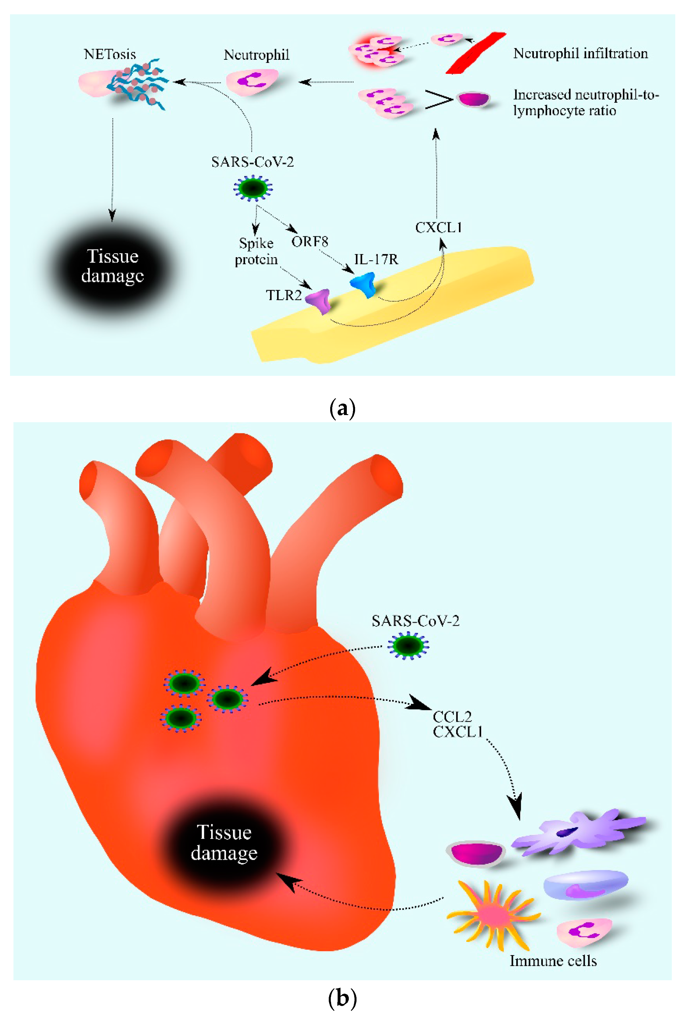 Ijms 24 00205 g002 Ijms 24 00205 g002