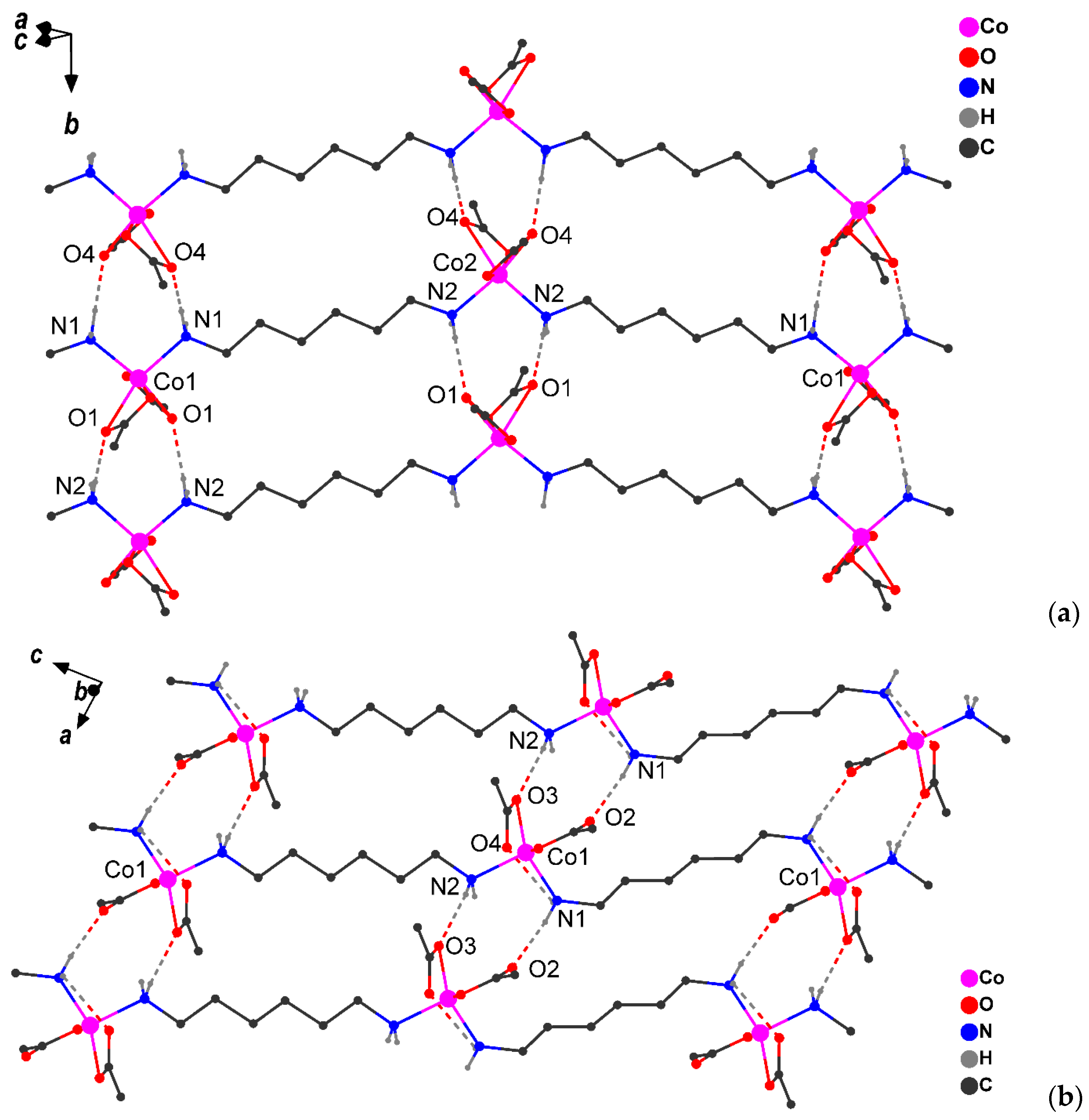 Ijms 24 00215 g003 Ijms 24 00215 g003
