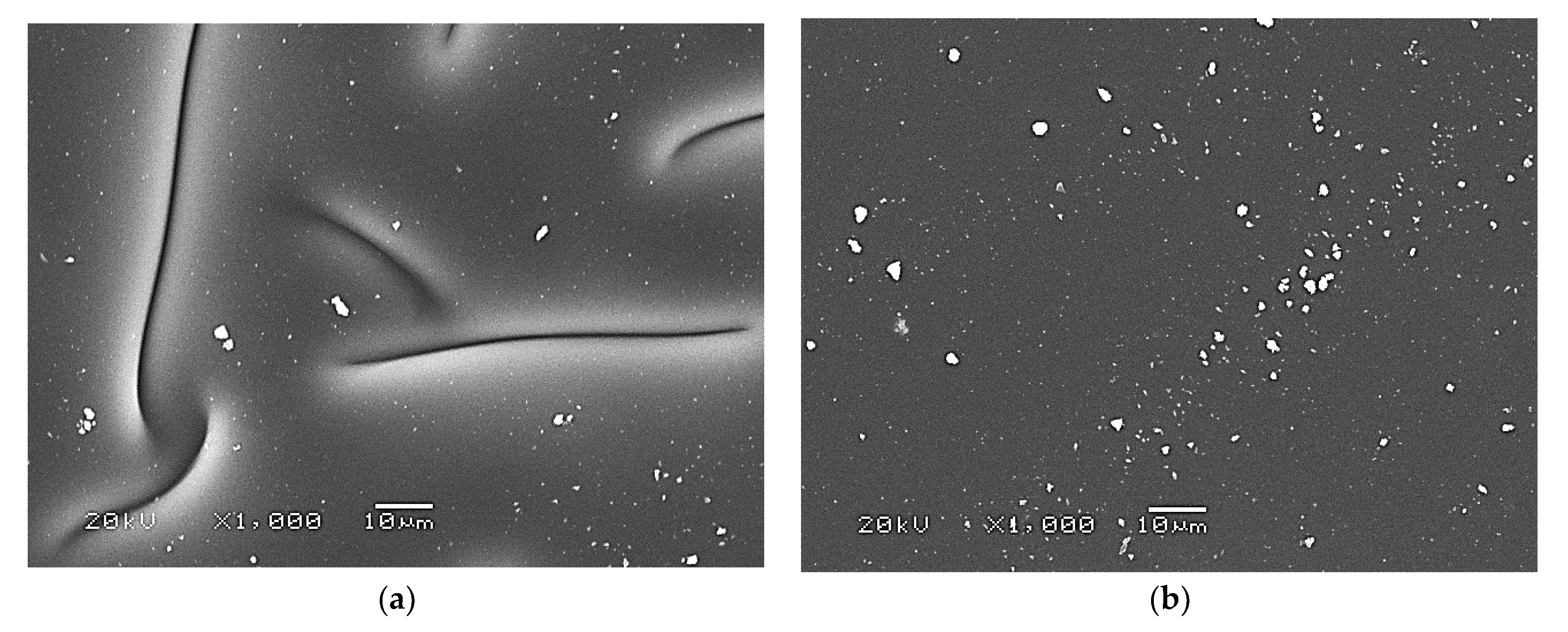 Ijms 24 00217 g009a Ijms 24 00217 g009a