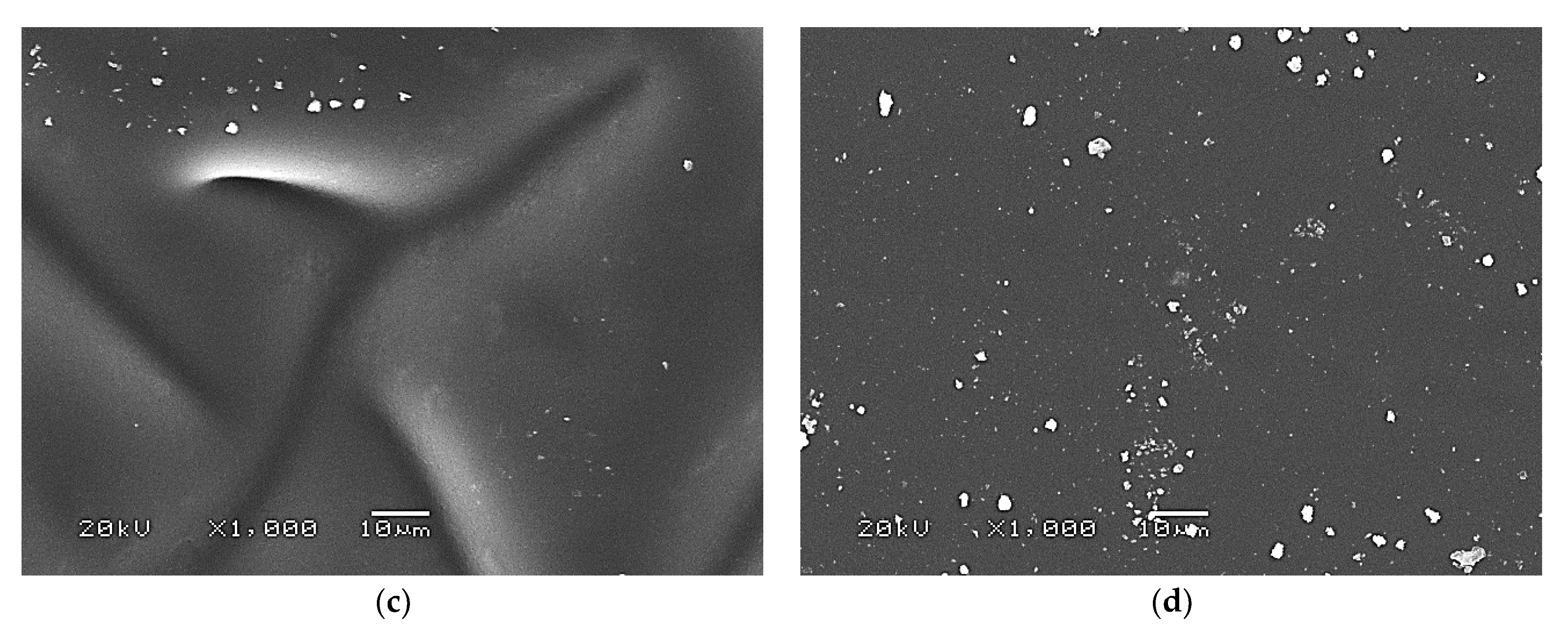 Ijms 24 00217 g009b Ijms 24 00217 g009b