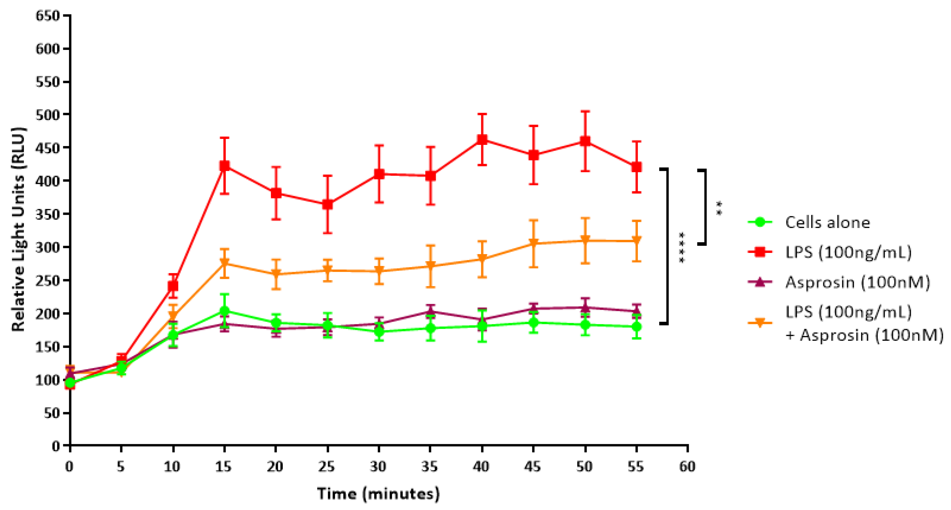 Ijms 24 00227 g006 Ijms 24 00227 g006