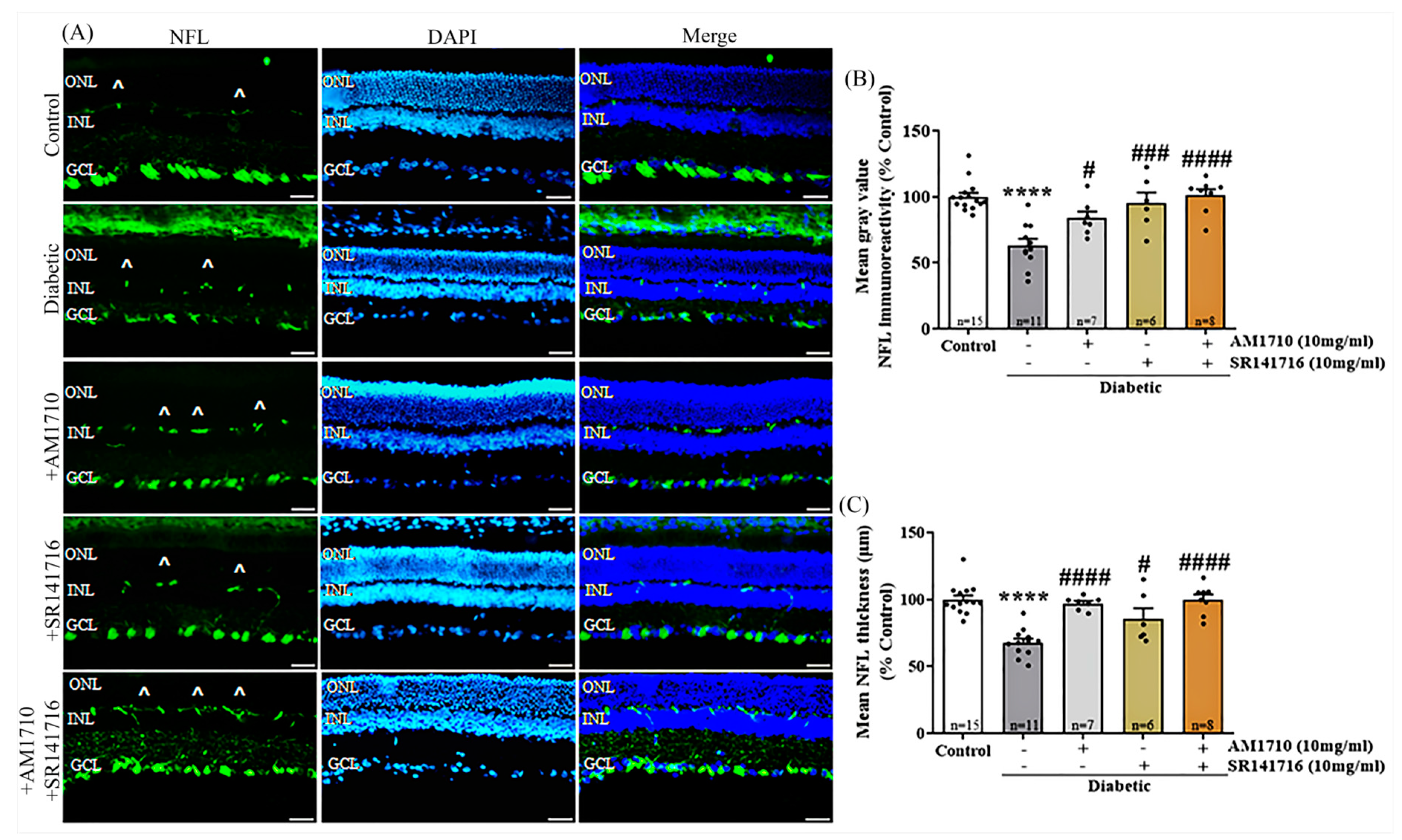 Ijms 24 00240 g001 Ijms 24 00240 g001