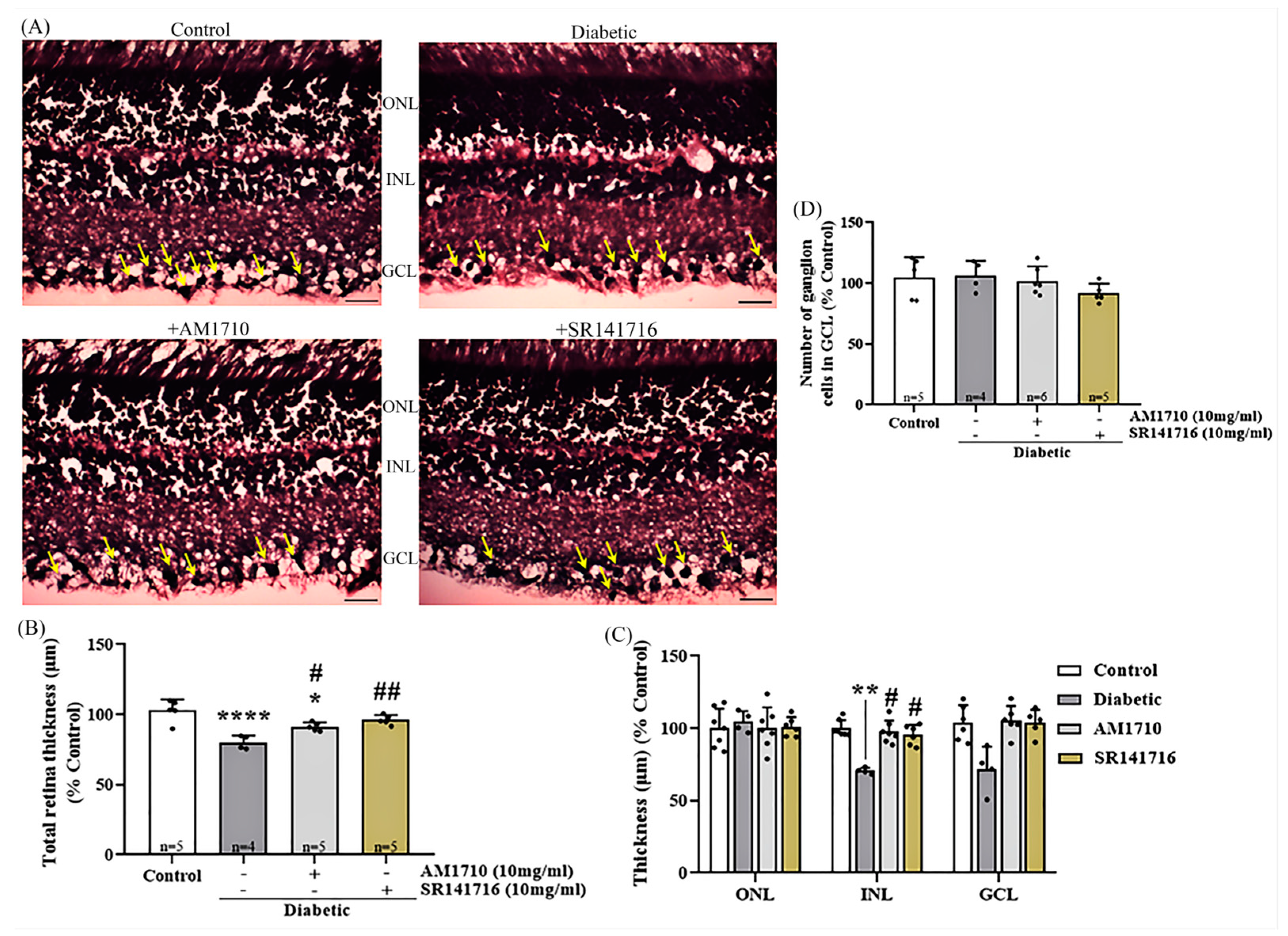 Ijms 24 00240 g002 Ijms 24 00240 g002